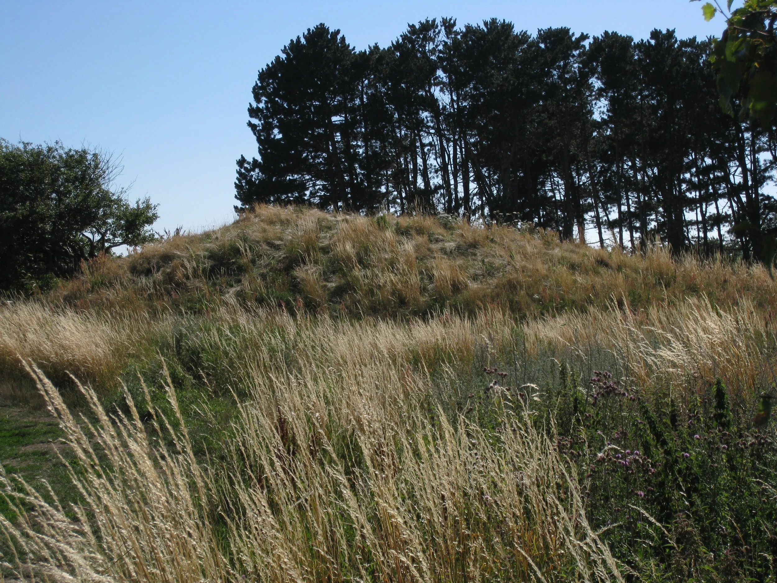  Near Nykobing, Typical Early (900's) Burial Mound 