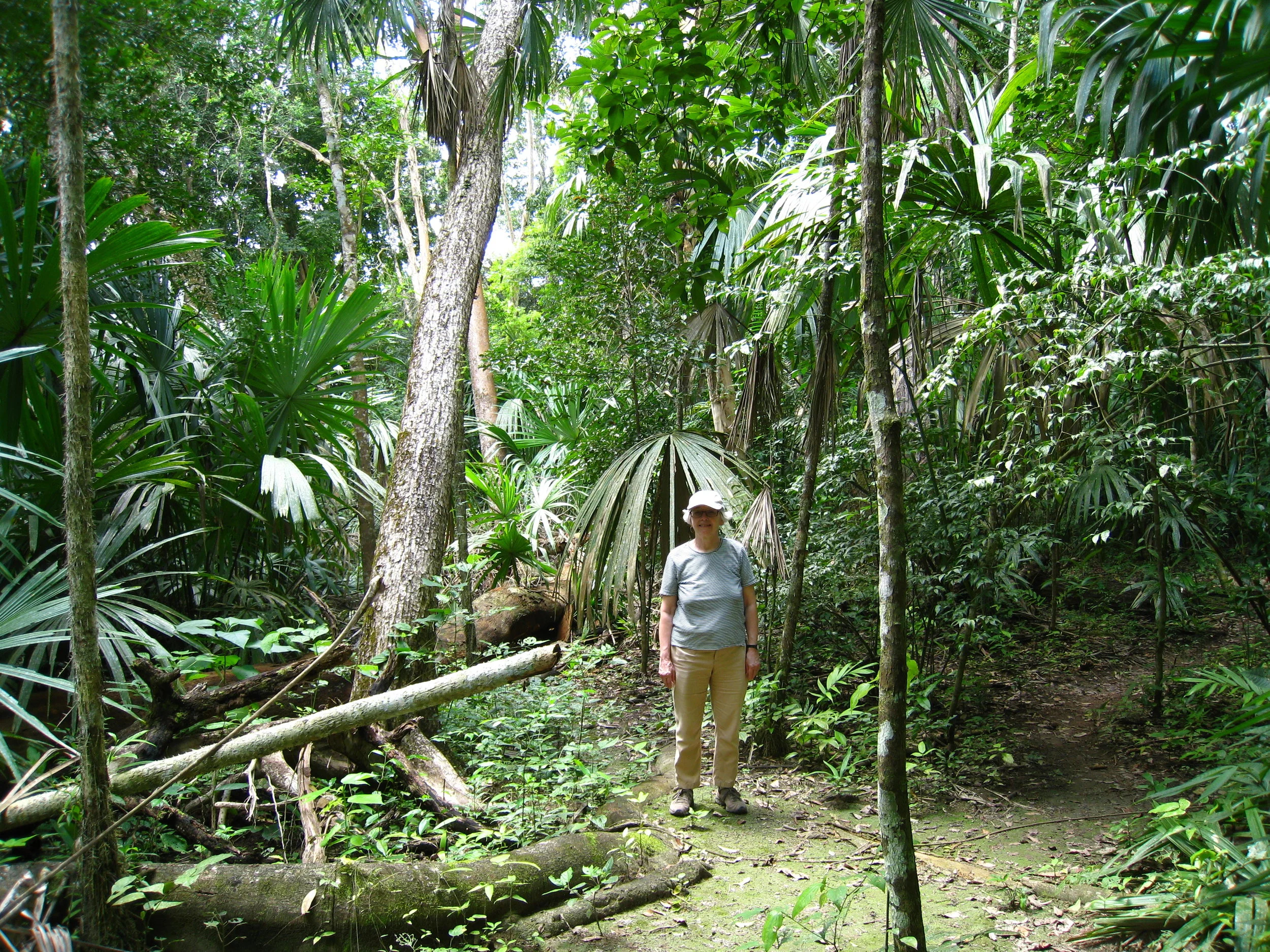  Tikal--Carrol Kindel in the jungle 