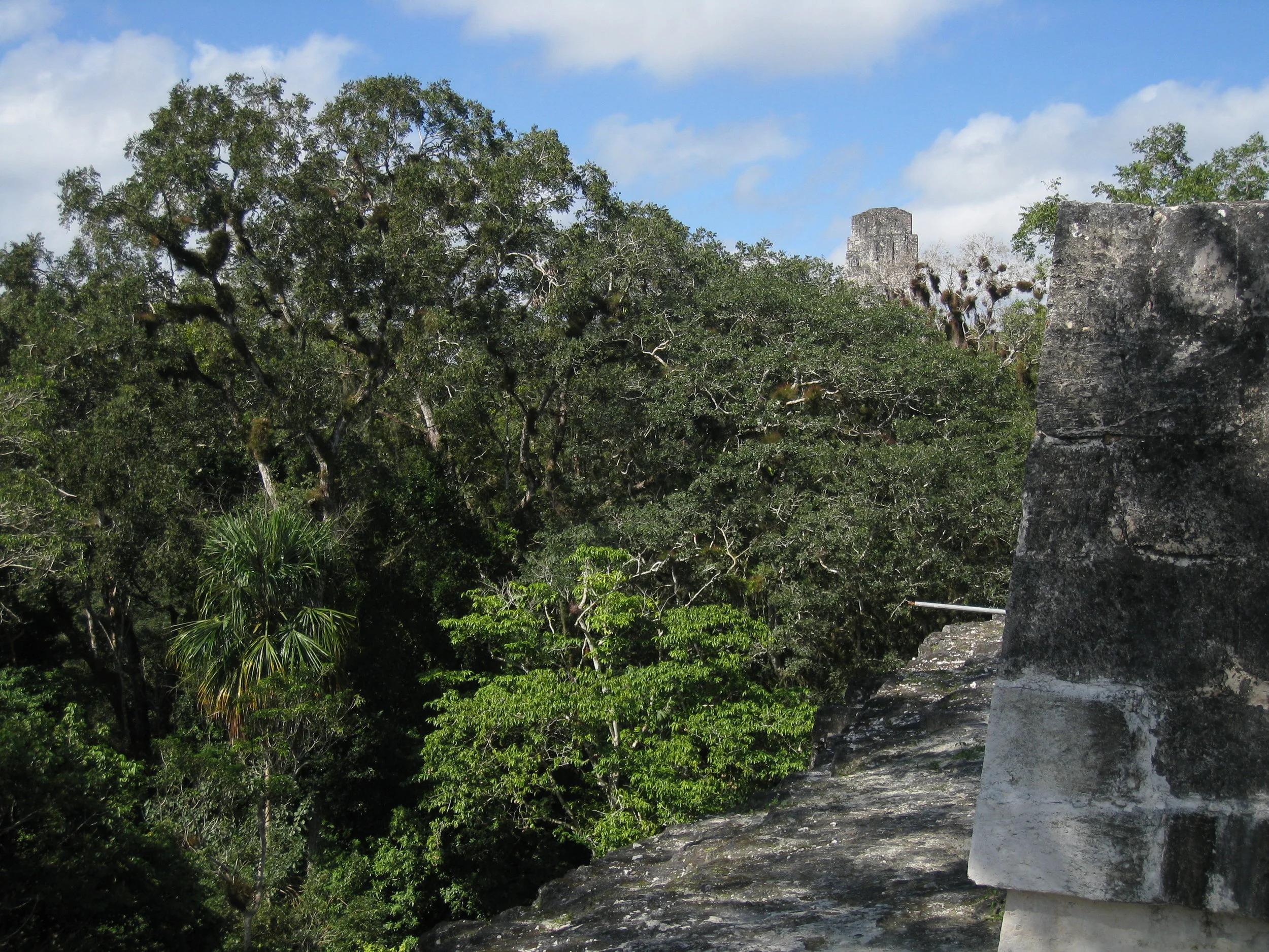  Tikal--Temple 3 from Temple 2 