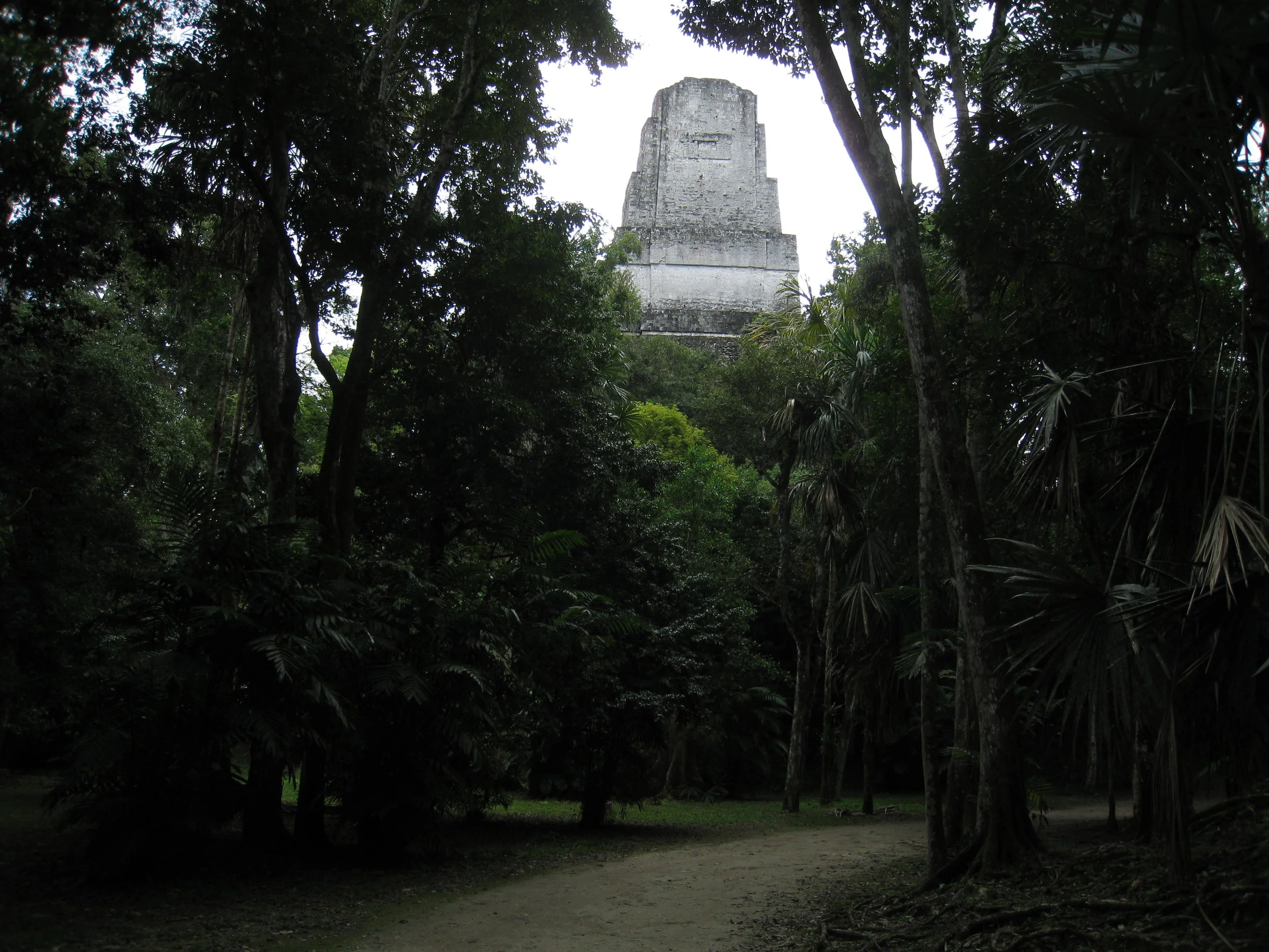  Tikal--The top of Temple 3 