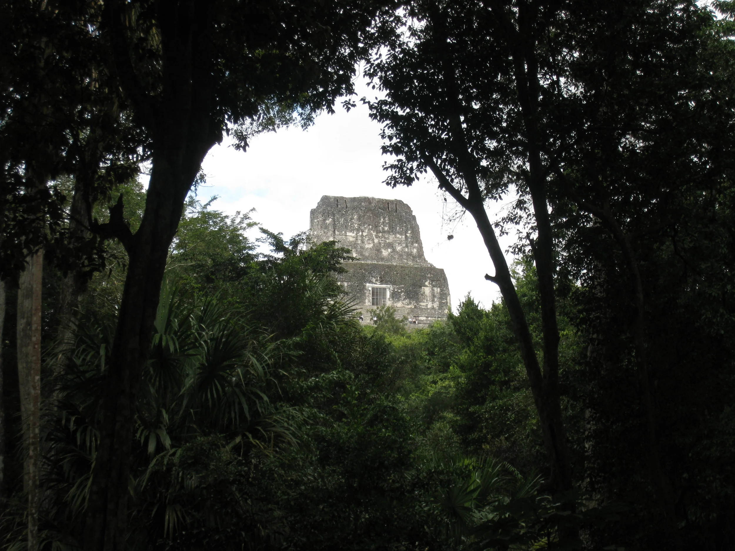  Tikal--The top of Temple 4 