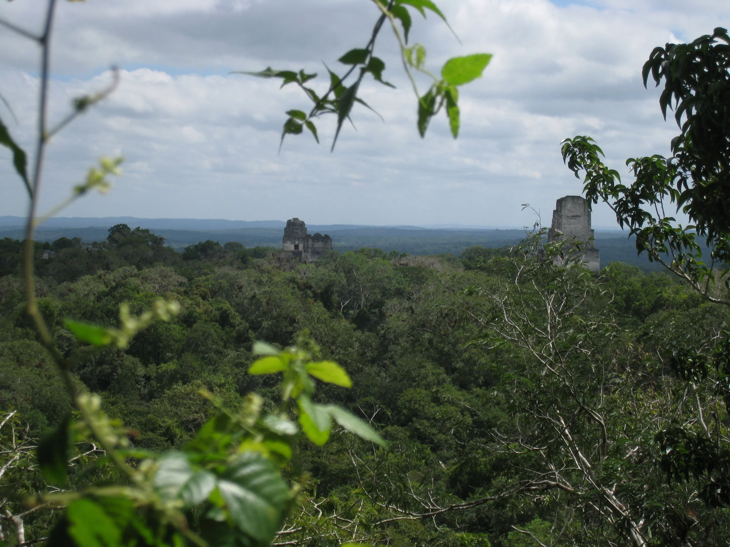  Tikal--North Acropolis, Temples 1, 2 and 3 from Temple 4 