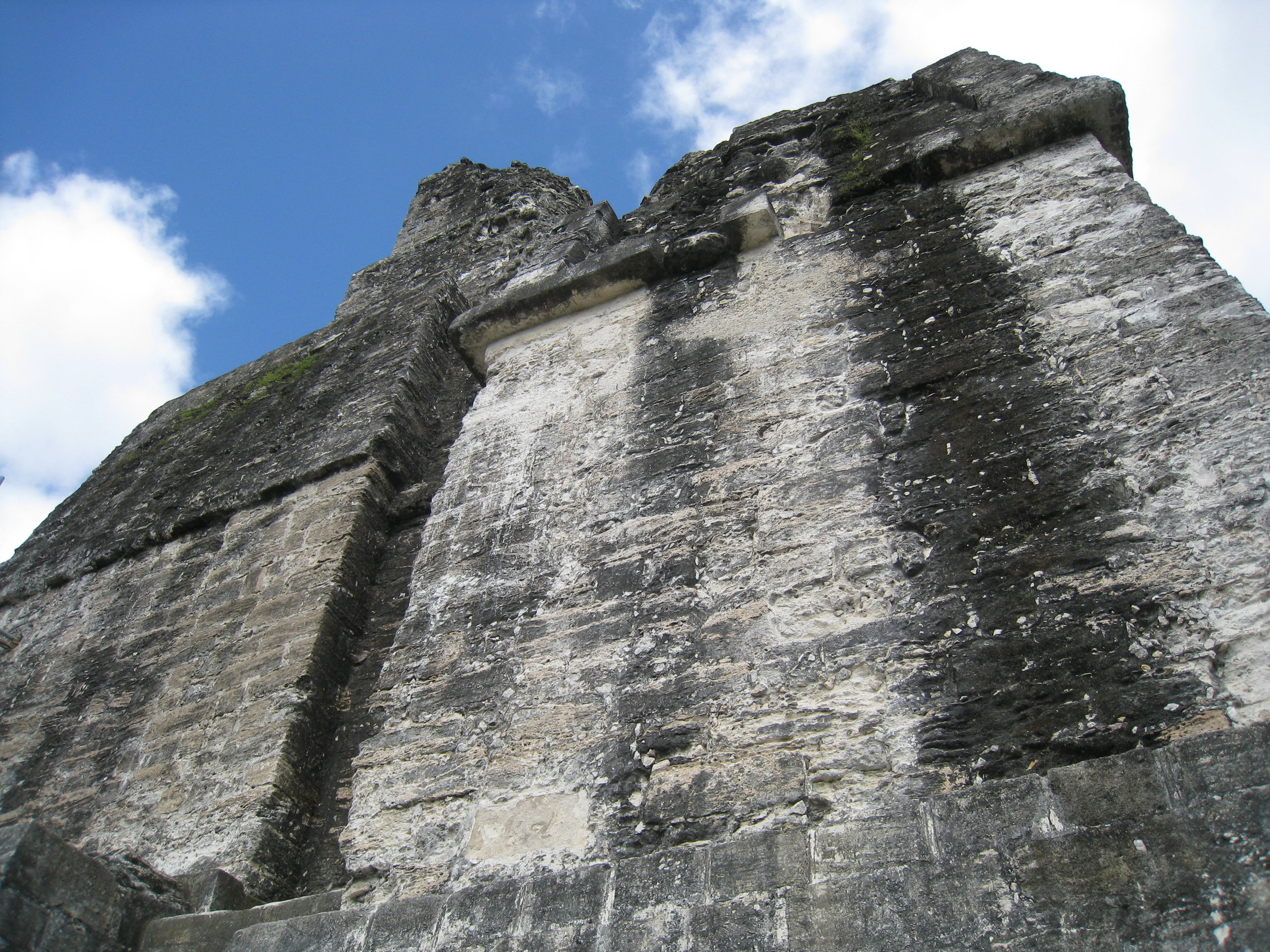  Tikal--Looking towards the top of Temple 4 from the side 