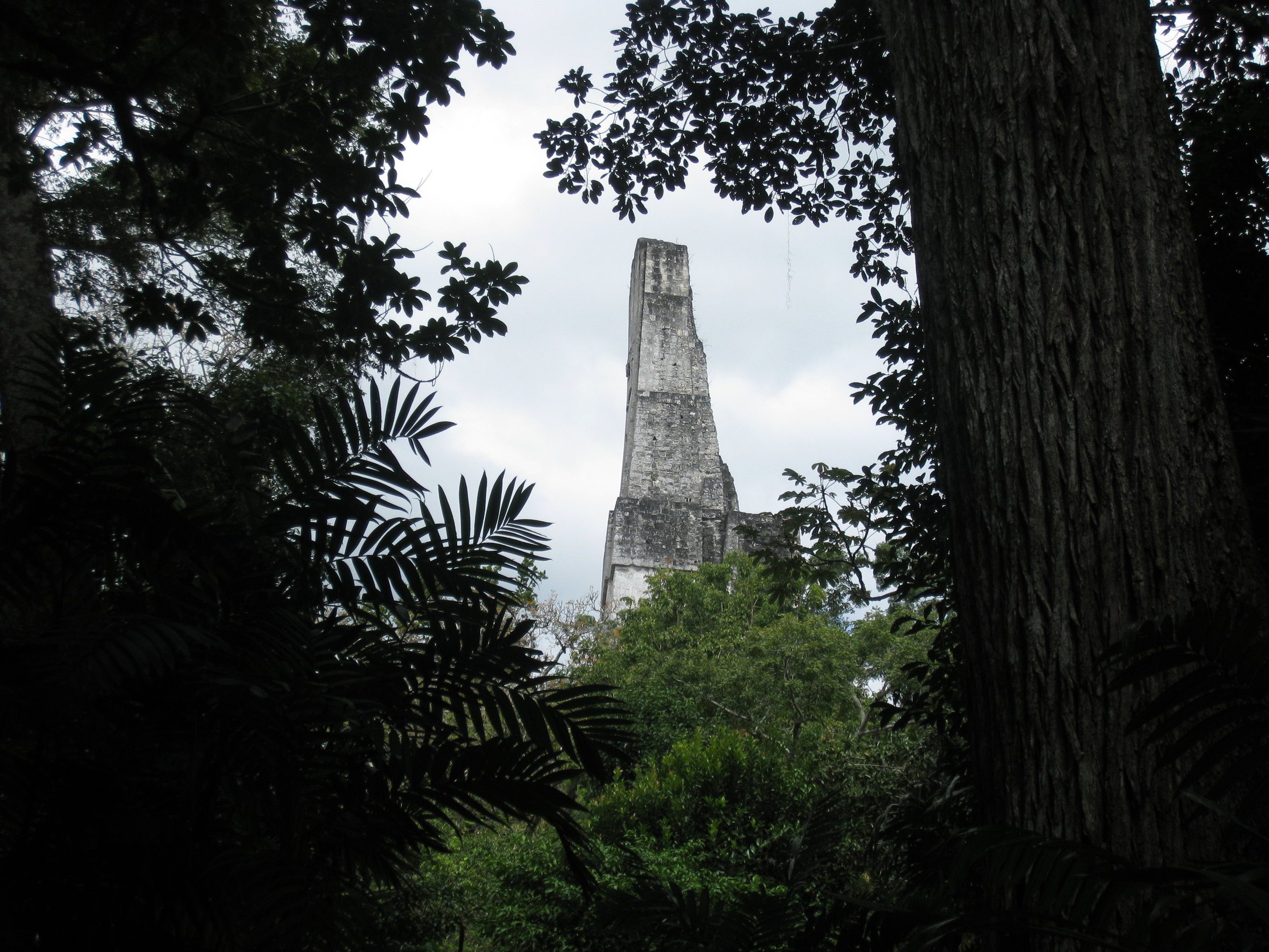  Tikal--Temple 3 top 