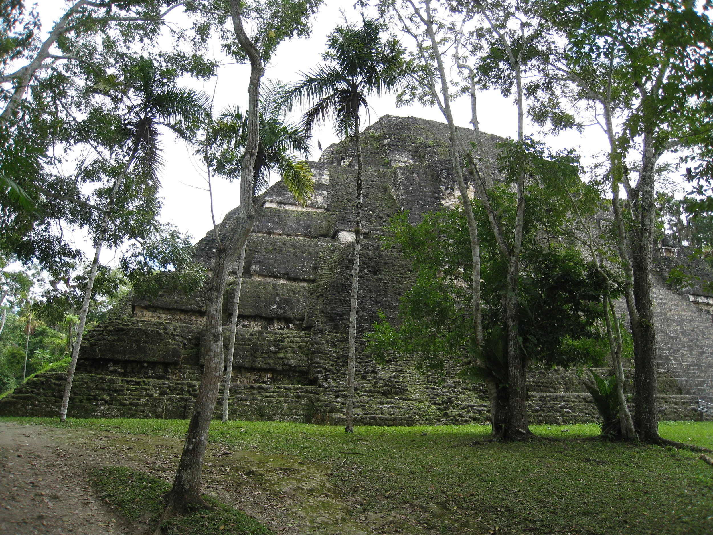  Tikal--Complex N pyramid 