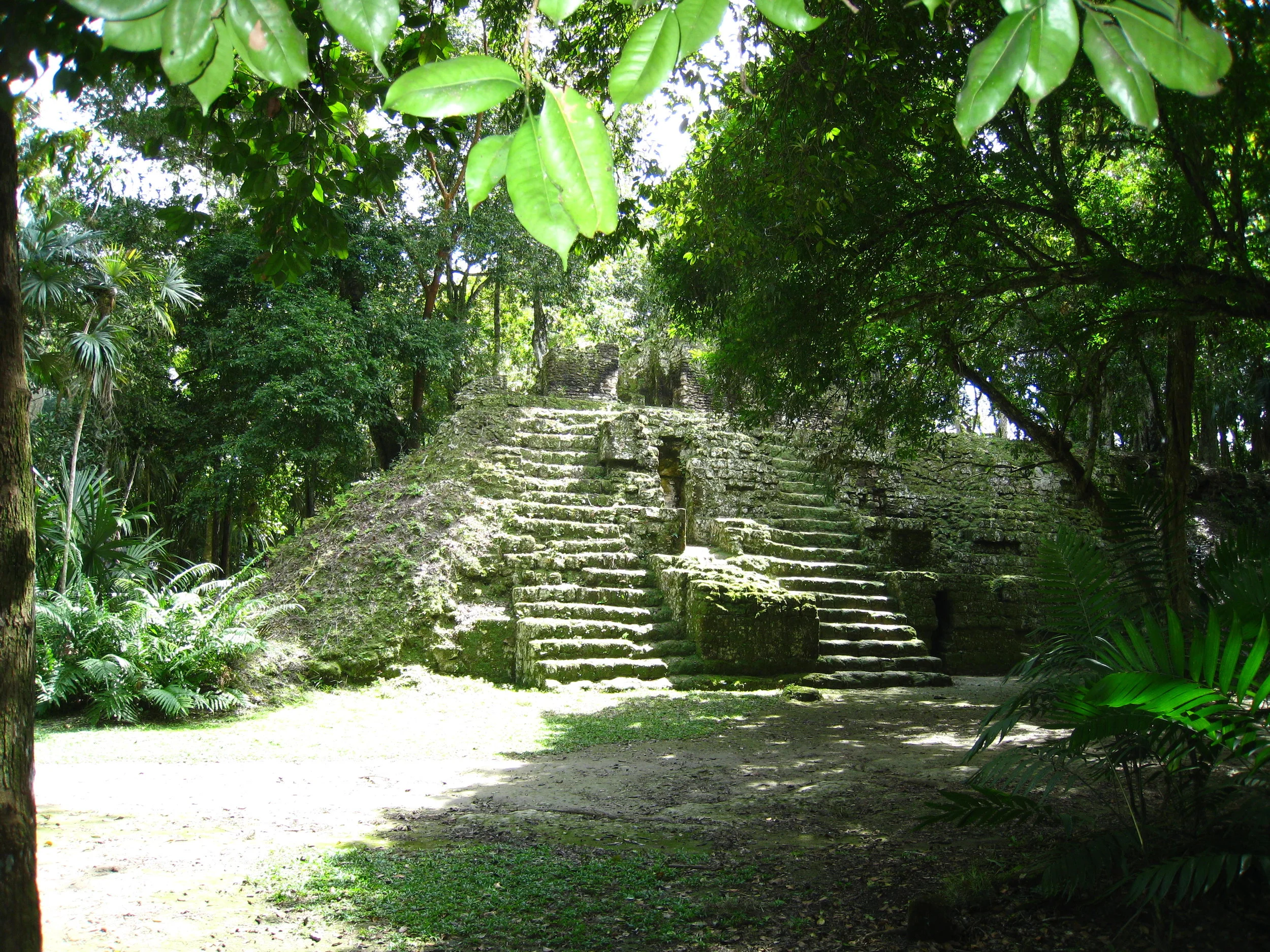  Tikal--Mundo Perdido pyramid 