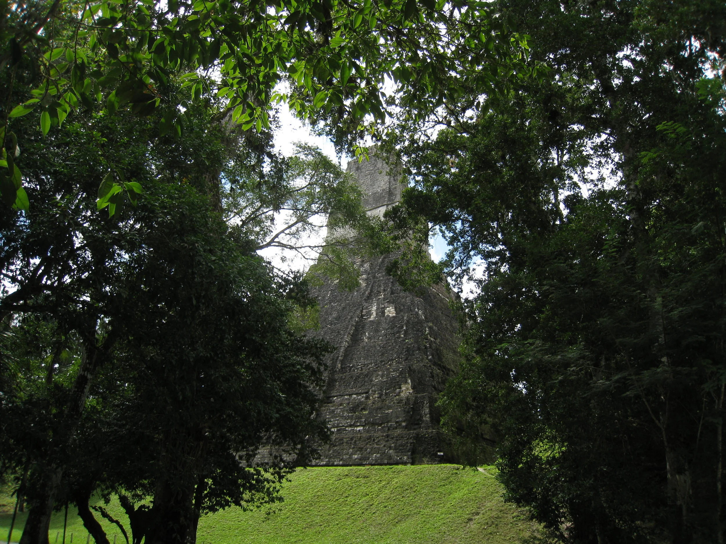  Tikal--Back of Temple 1 