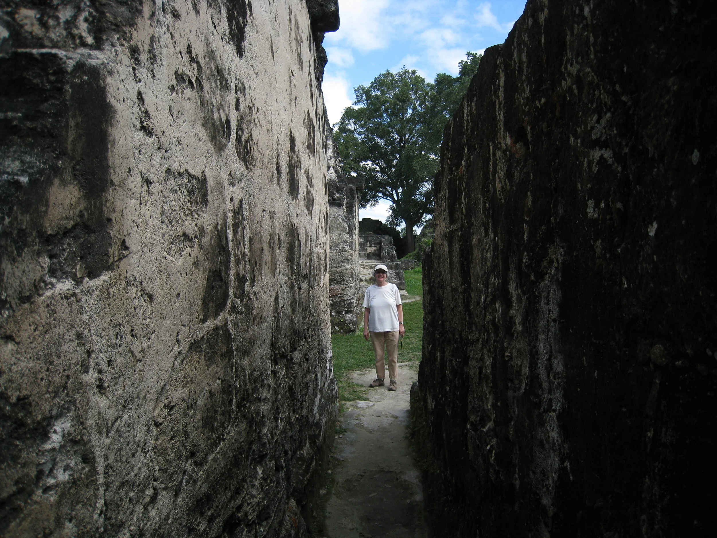  Tikal--Carrol in Central Acropolis 