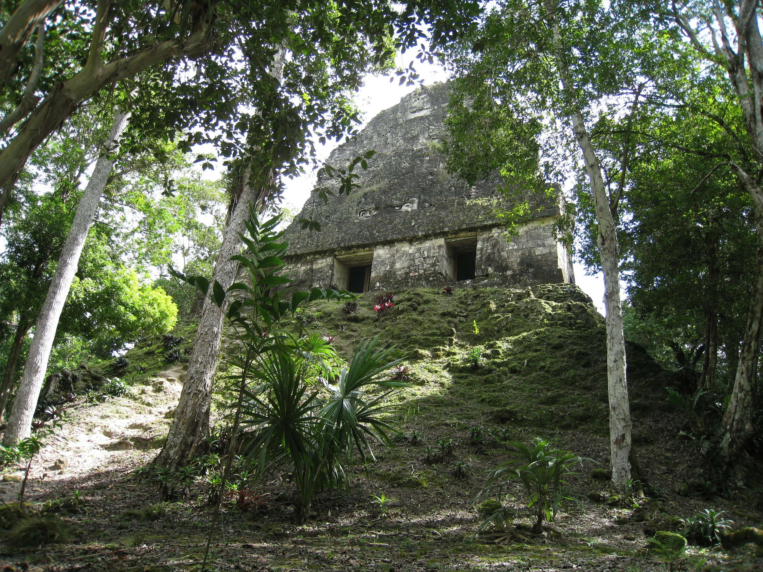  Tikal--Temple 6 