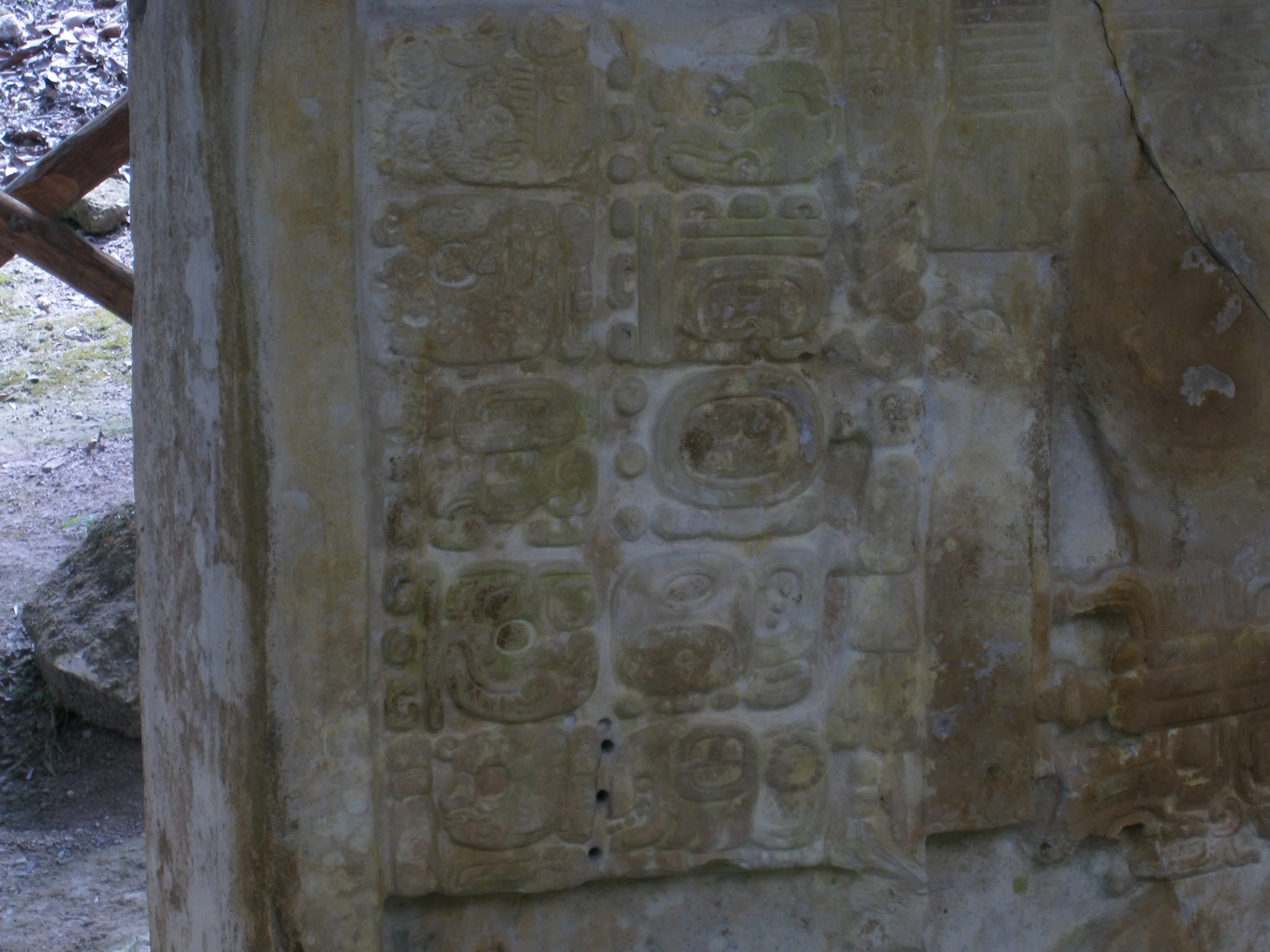  Tikal--Temple 6 stele 