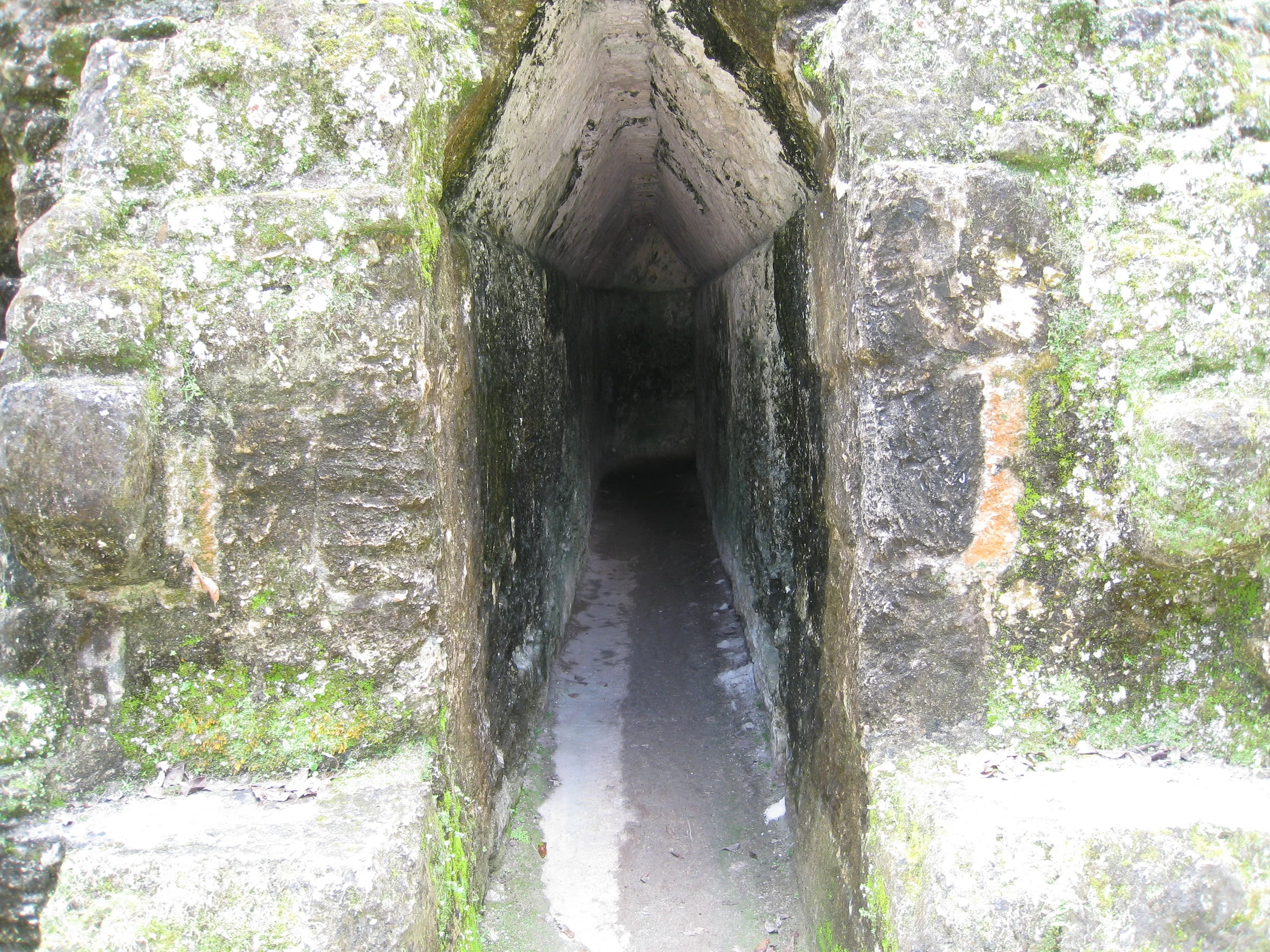  Tikal--Door leading into Palace of Acanaladuras 