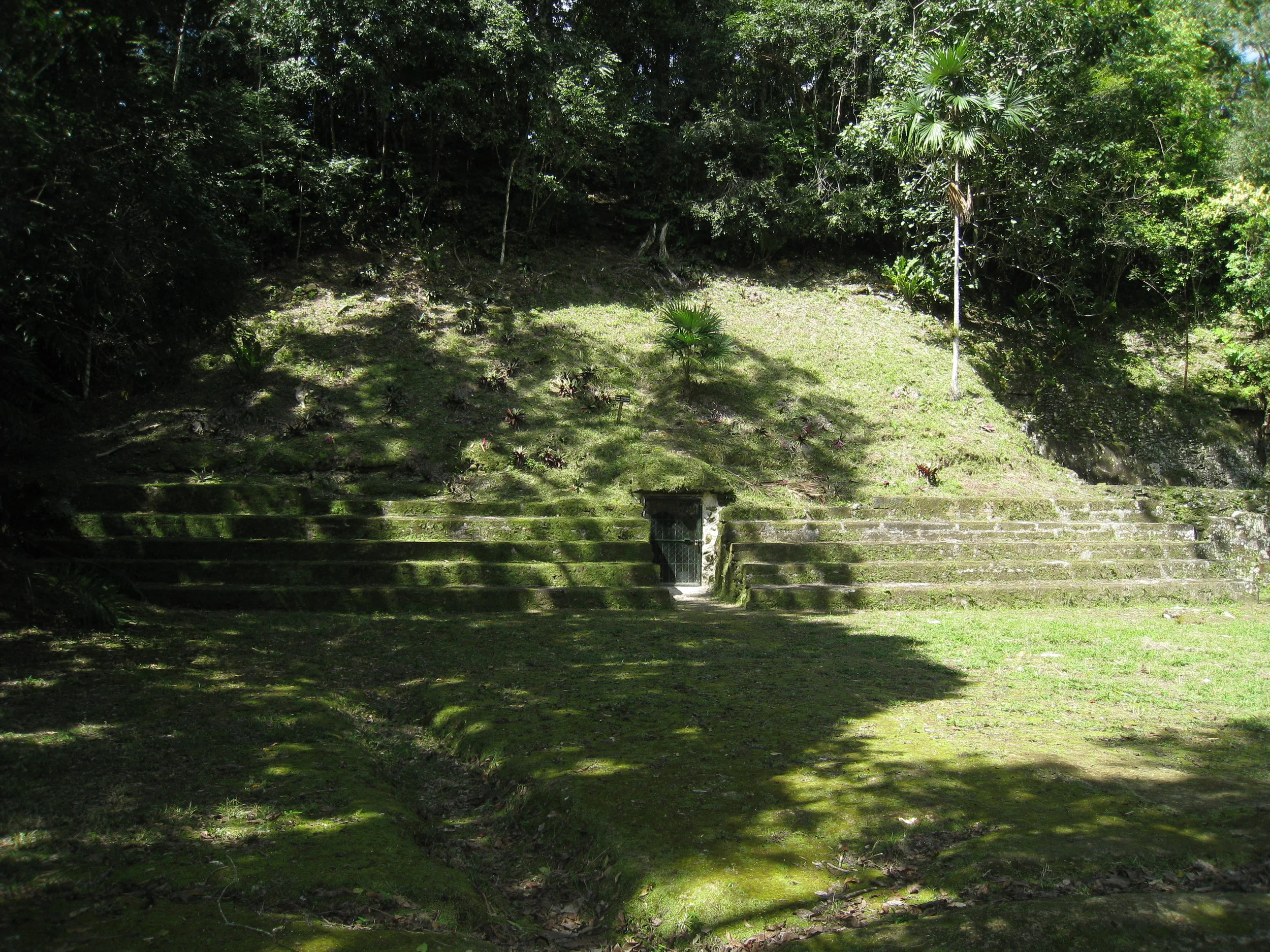  Tikal--Palace of Acanaladuras 