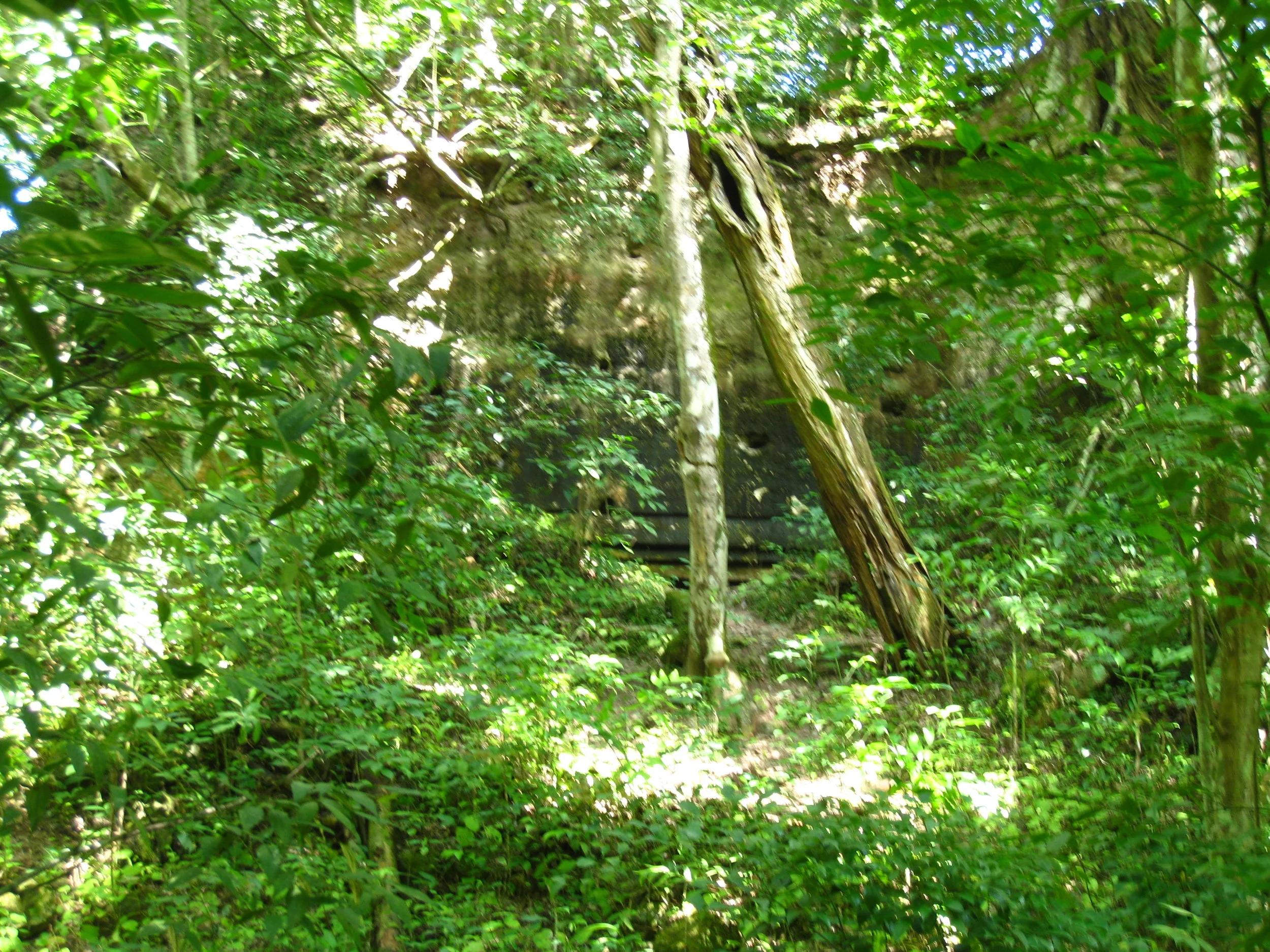  Tikal--Entrance to partially excavated palace--bedroom 