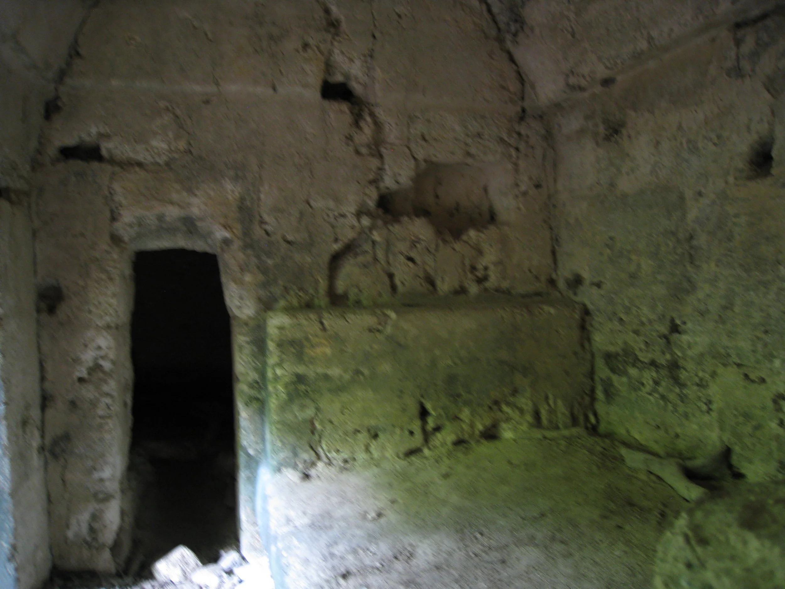  Tikal--Partially excavated palace--bedroom 