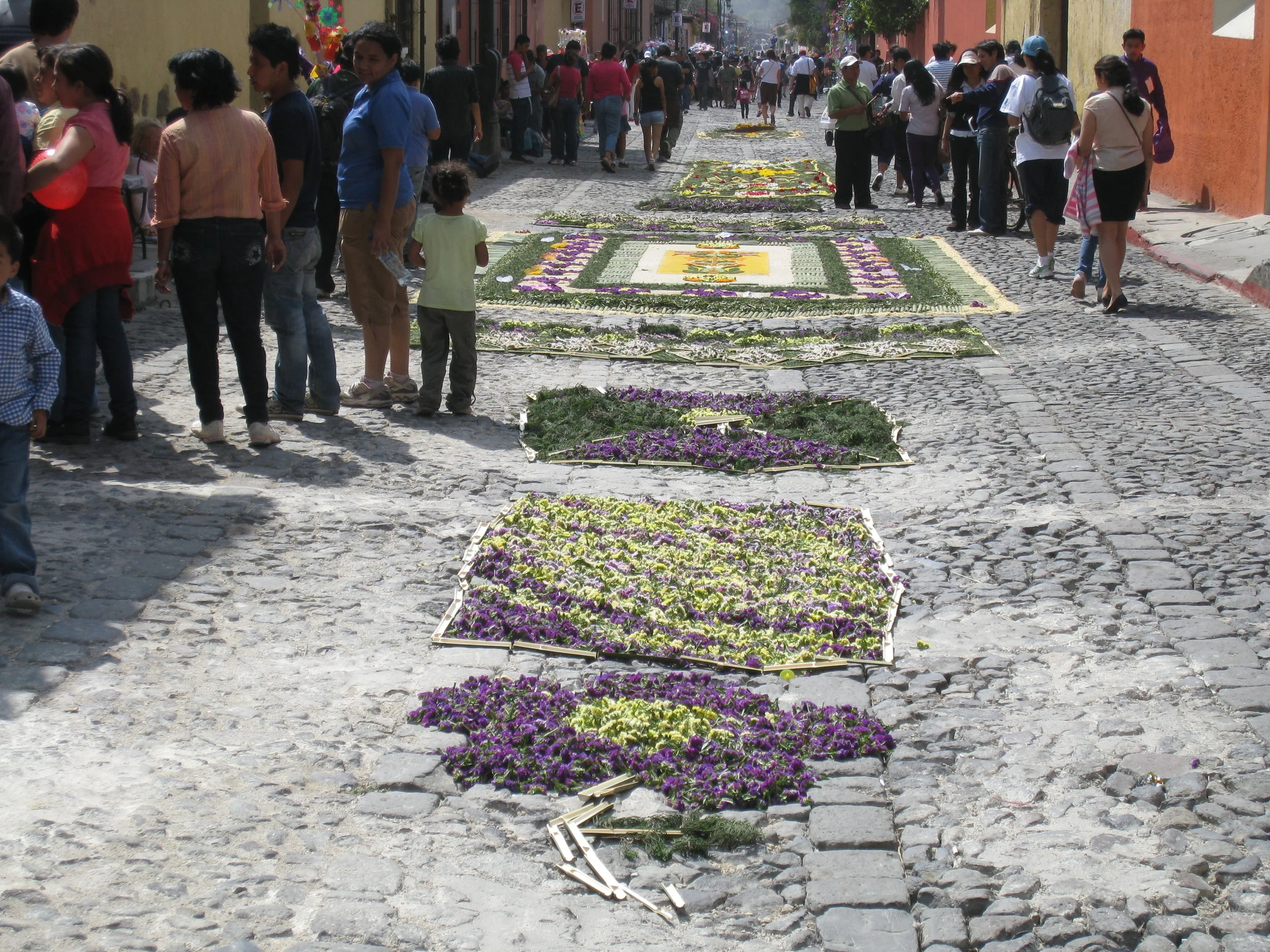  Antigua--Calle 3--Putting Alfombras (Rugs) in the street in honor of the procession. These are designed and made of colored sawdust, flowers and other plants, by the neighbors. 