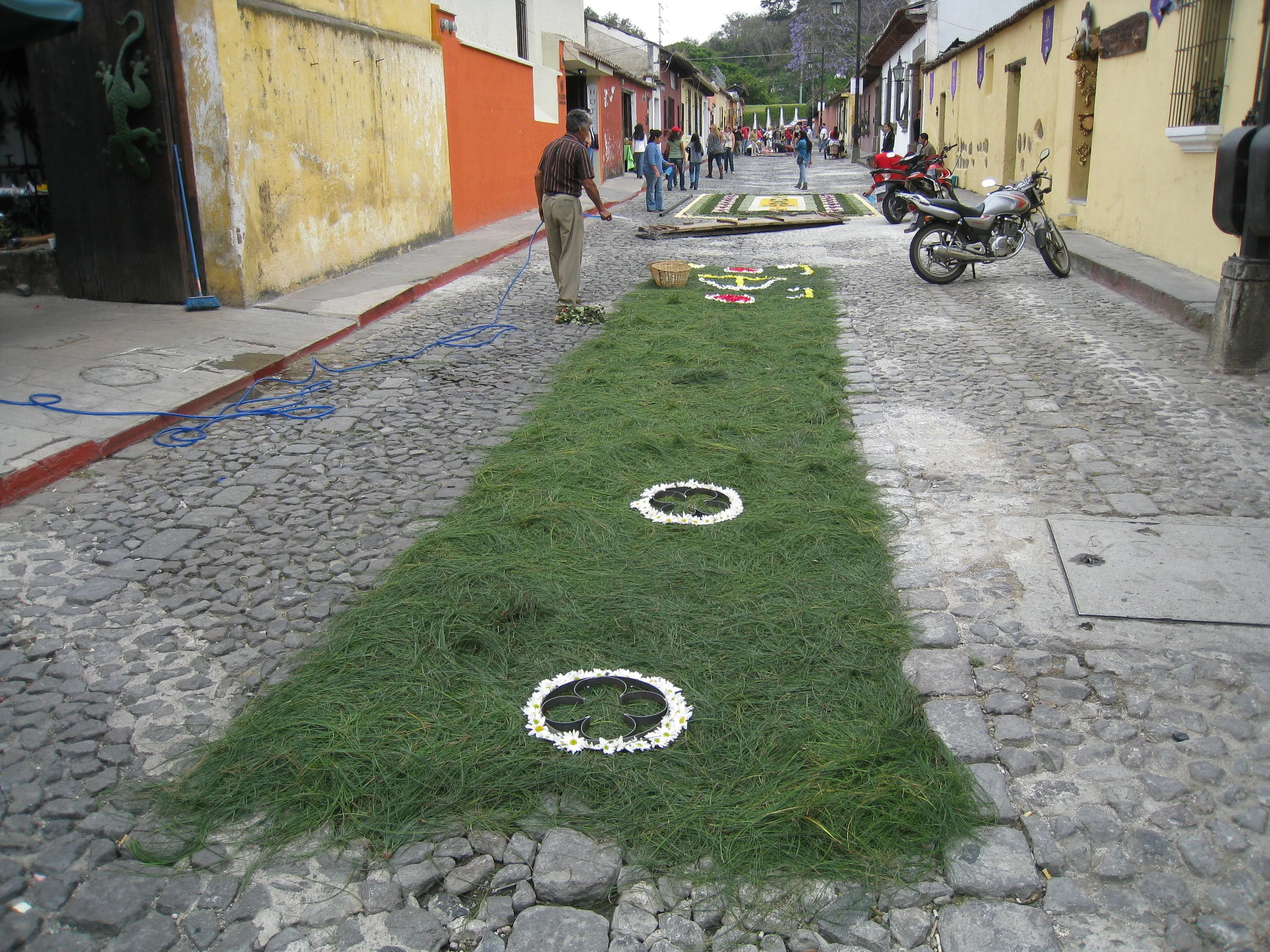  Antigua--Calle 3--Putting Alfombras (Rugs) in the street in honor of the procession. These are designed and made of colored sawdust, flowers and other plants, by the neighbors 
