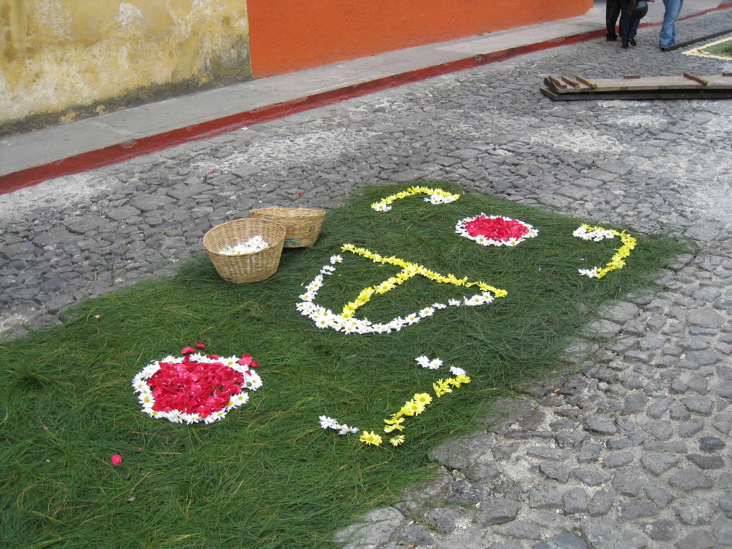  Antigua--Calle 3--Putting Alfombras (Rugs) in the street in honor of the procession. These are designed and made of colored sawdust, flowers and other plants, by the neighbors. This one is based on pine needles, a Mayan tradition 