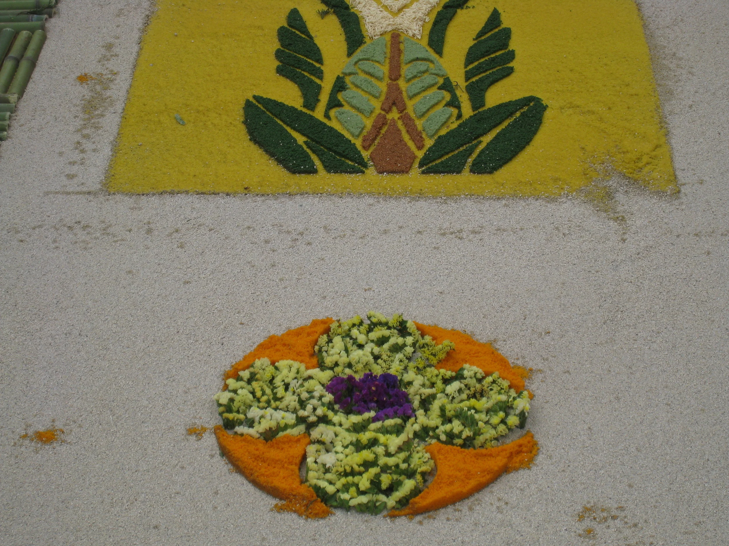  Antigua--Calle 3--Putting Alfombras (Rugs) in the street in honor of the procession. These are designed and made of colored sawdust, flowers and other plants, by the neighbors. 