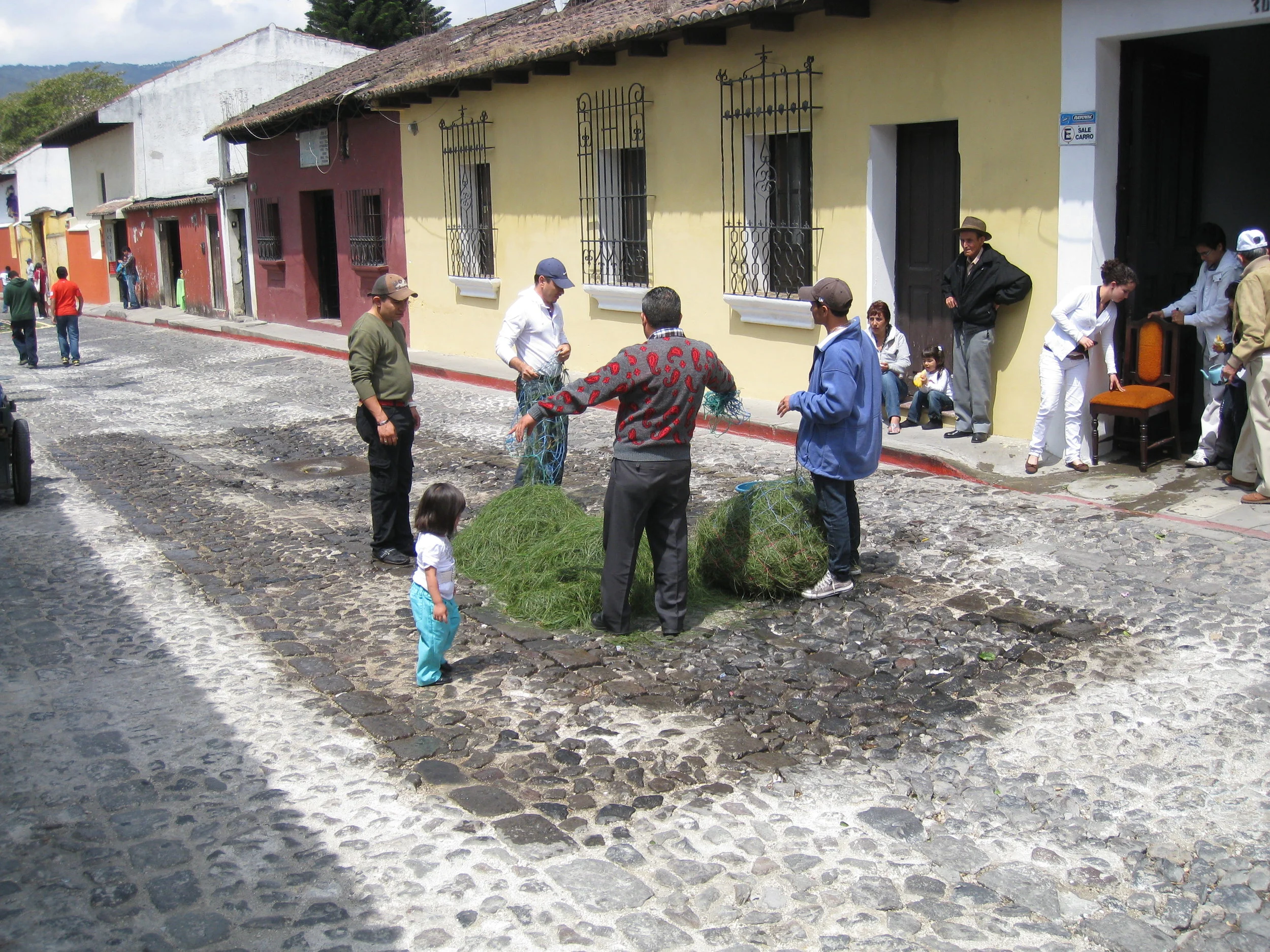  Antigua--Calle 3--Putting Alfombras (Rugs) in the street in honor of the procession. These are designed and made of colored sawdust, flowers and other plants, by the neighbors. This one is based on pine needles, a Mayan tradition 