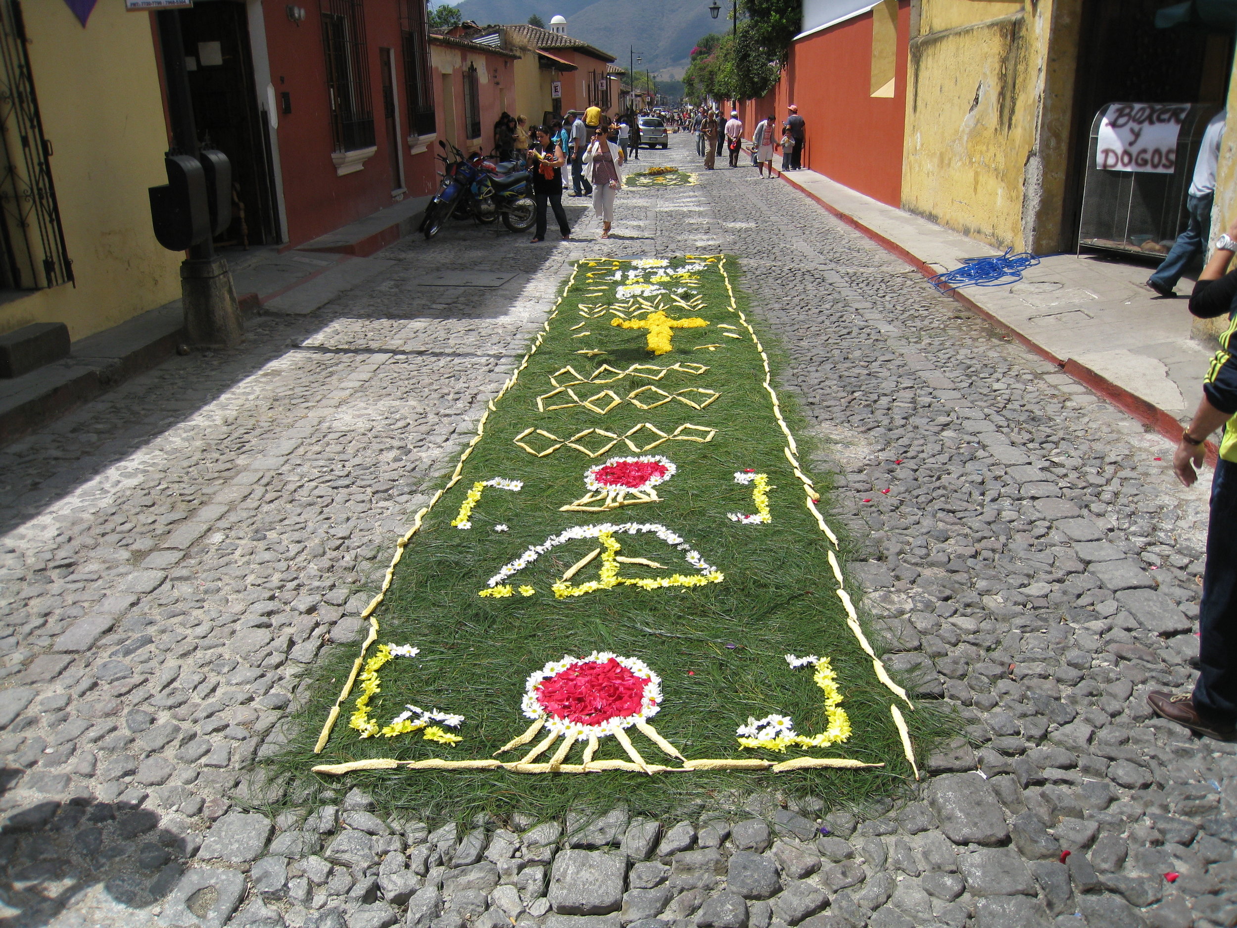  Antigua--Calle 3--Putting Alfombras (Rugs) in the street in honor of the procession. These are designed and made of colored sawdust, flowers and other plants, by the neighbors. This one is based on pine needles, a Mayan tradition 