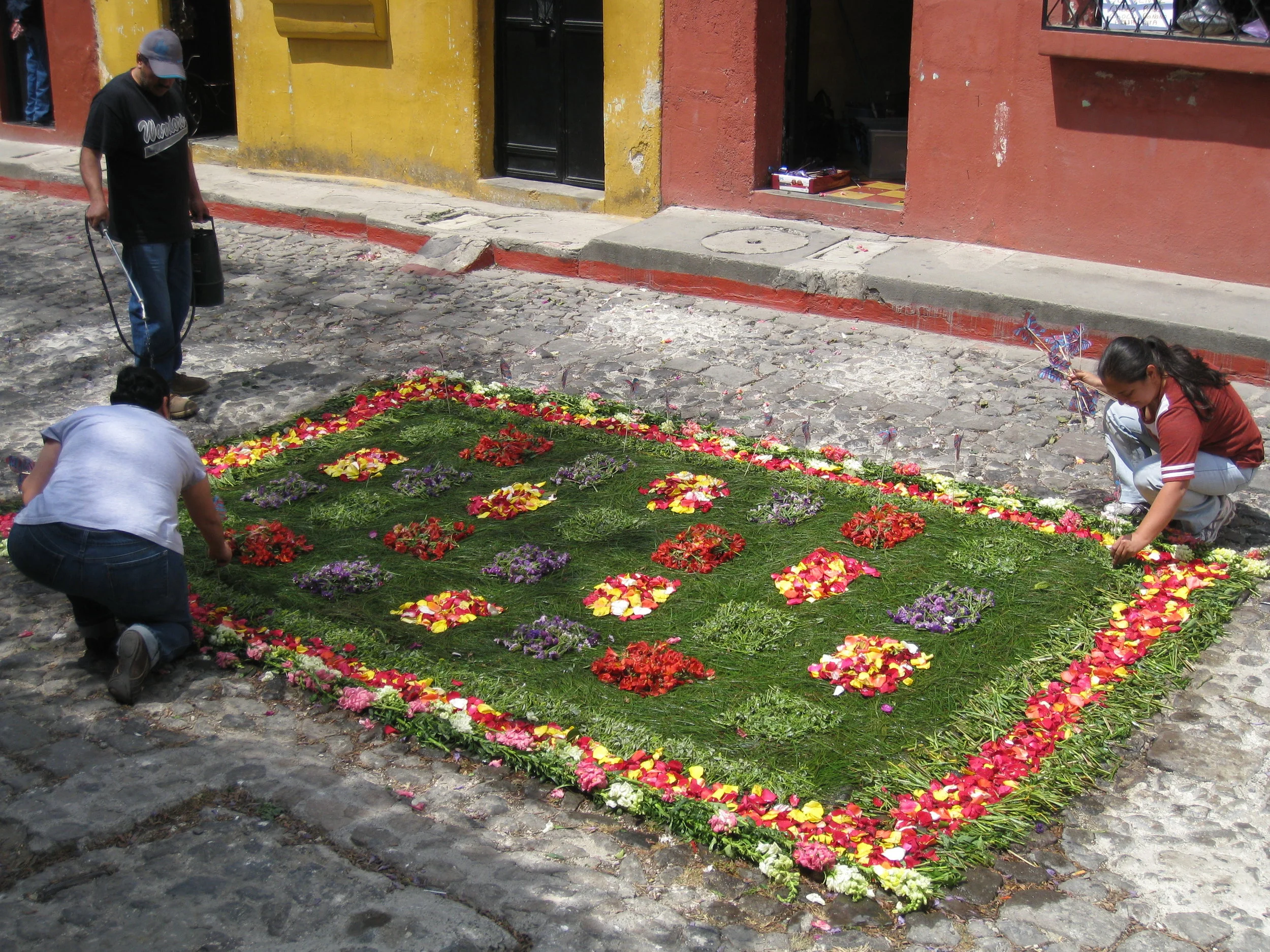  Antigua--Calle 3--Putting Alfombras (Rugs) in the street in honor of the procession. These are designed and made of colored sawdust, flowers and other plants, by the neighbors. This one is based on pine needles, a Mayan tradition 