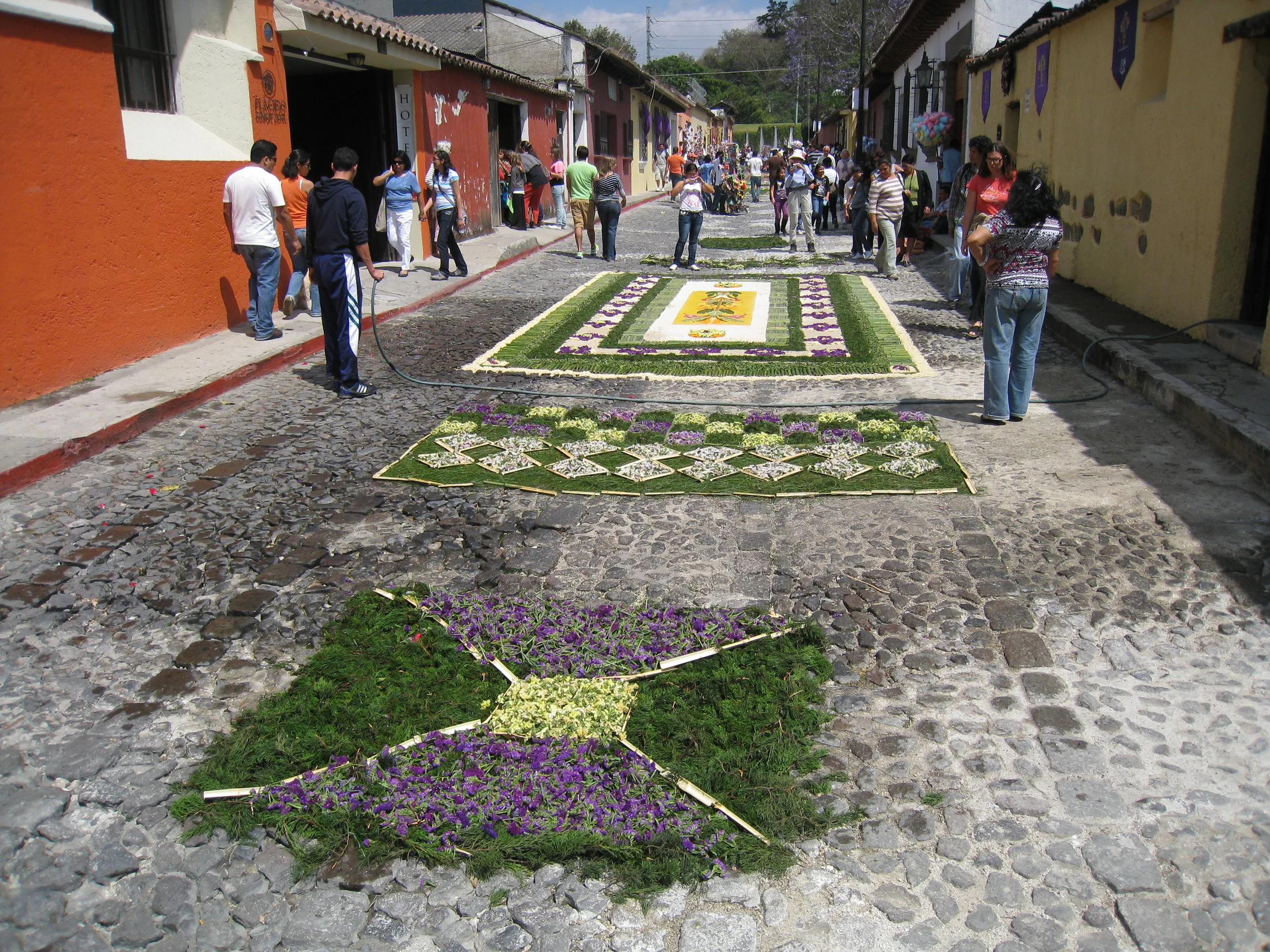  Antigua--Calle 3--Putting Alfombras (Rugs) in the street in honor of the procession. These are designed and made of colored sawdust, flowers and other plants, by the neighbors. 