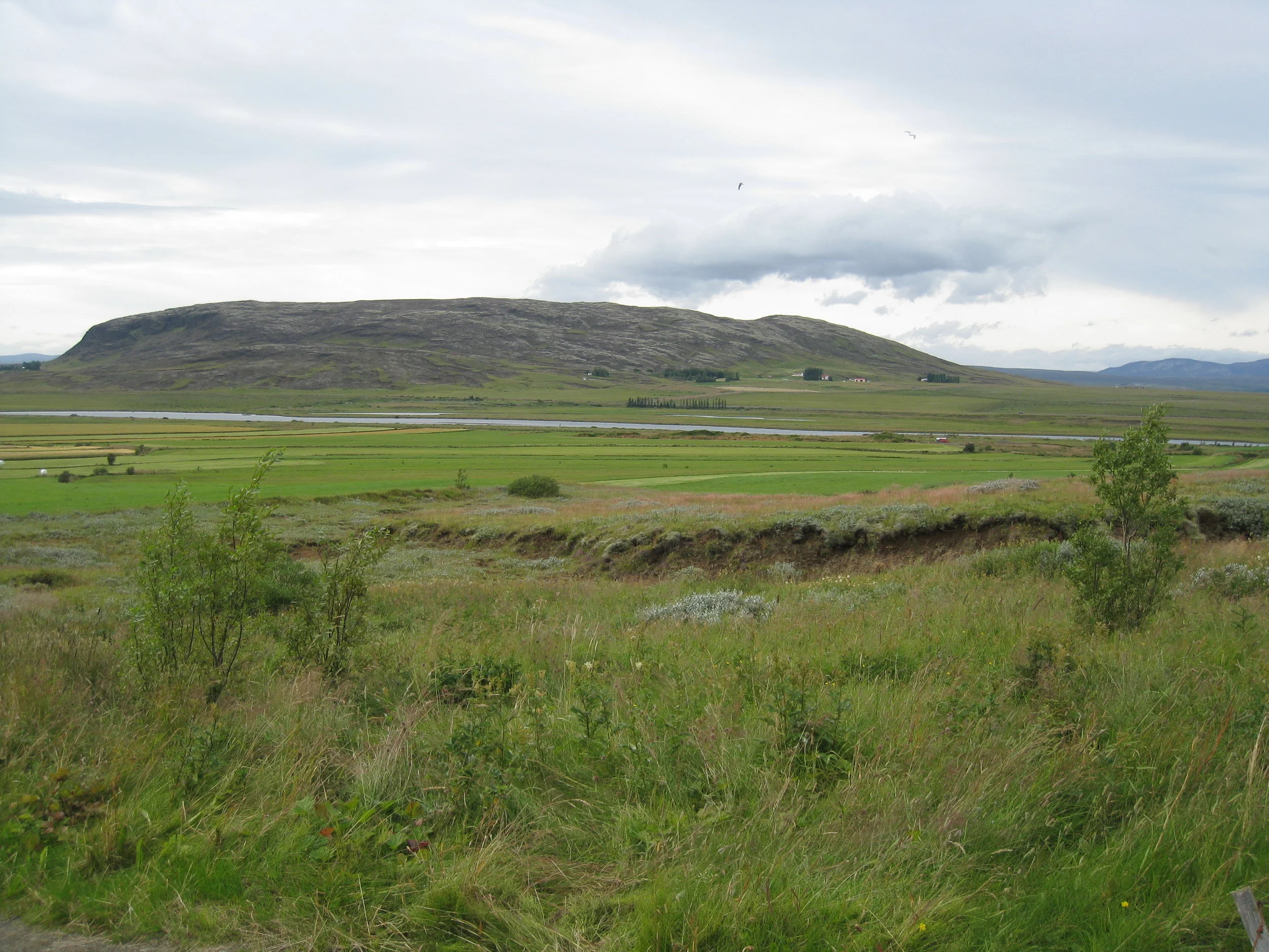  Near Skalholt Church--Typical Farming 