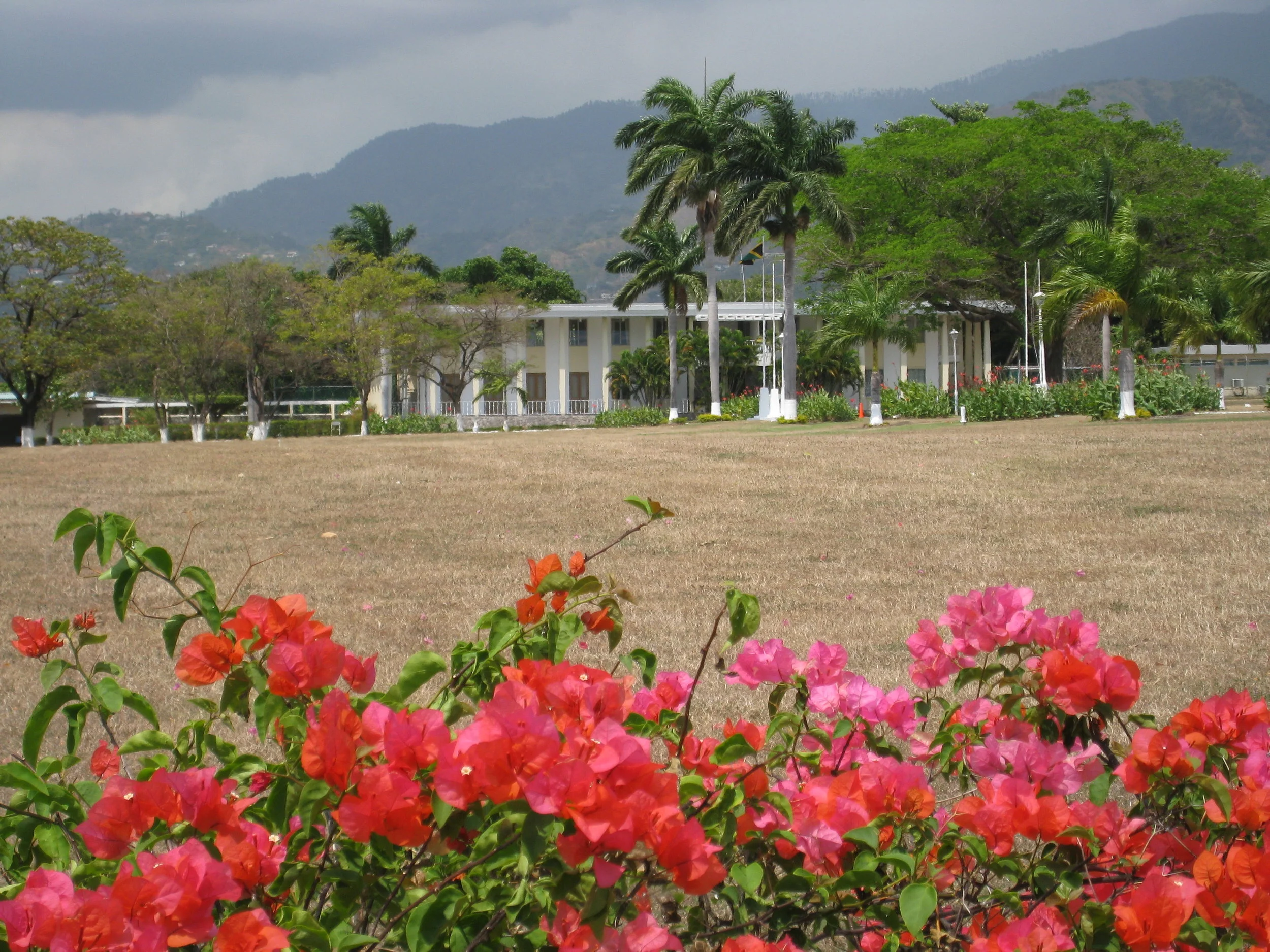  Kingston 2009--Government House 