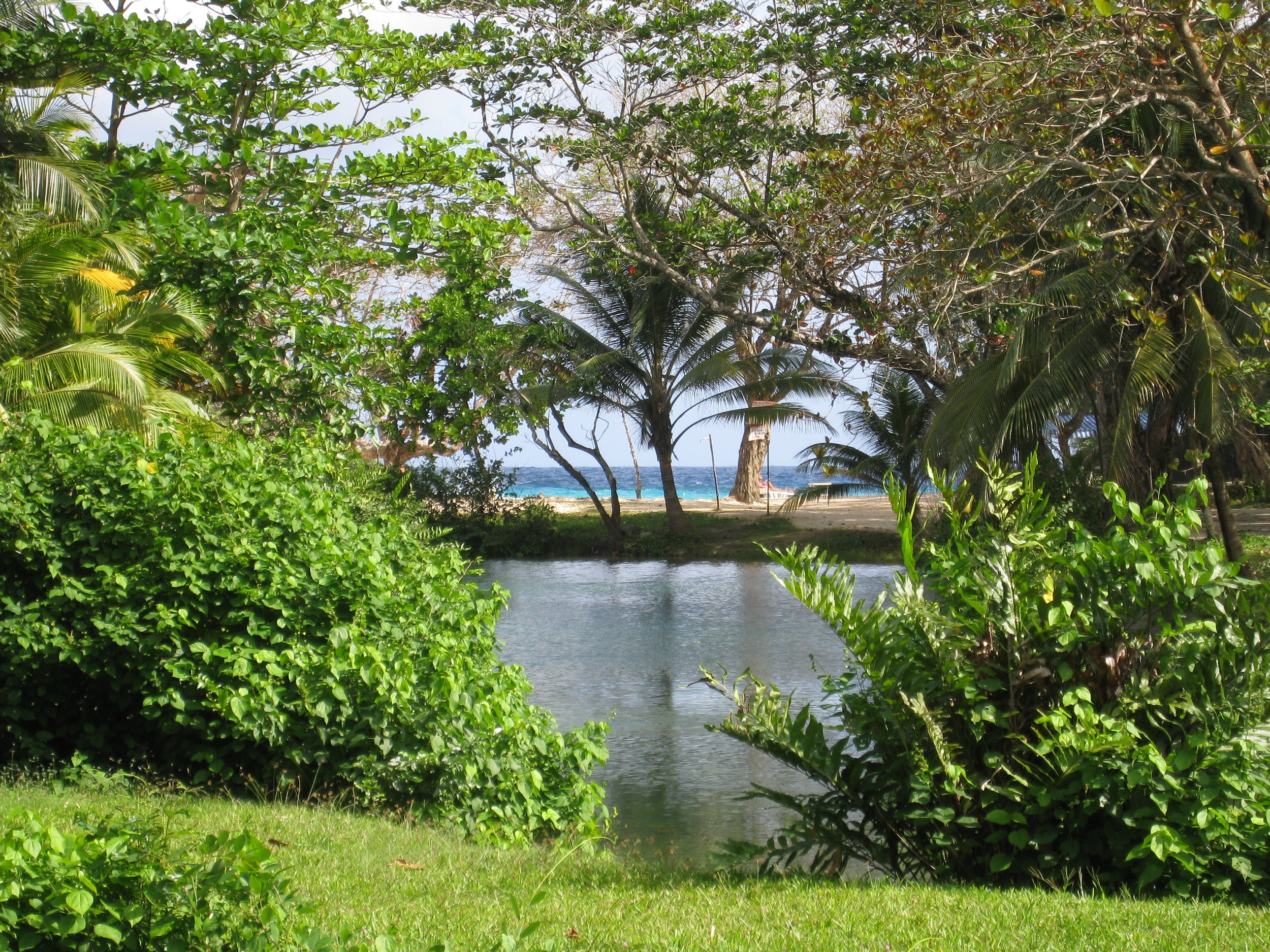  Frenchman's Cove 