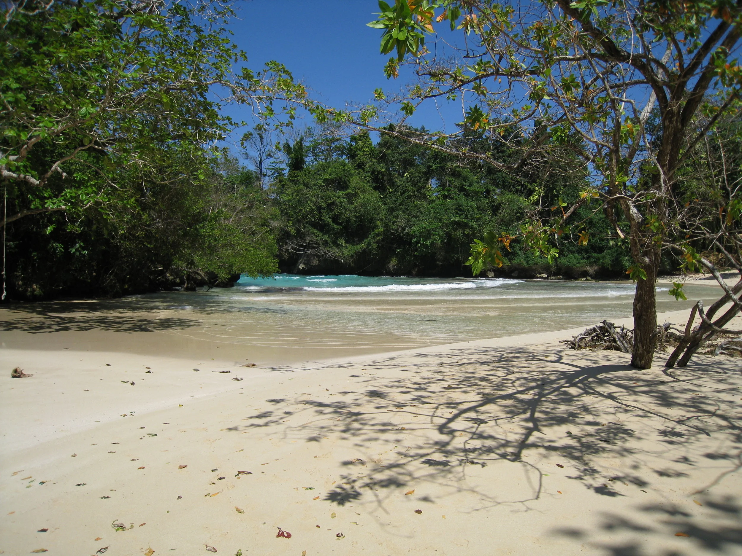  Frenchman's Cove beach 