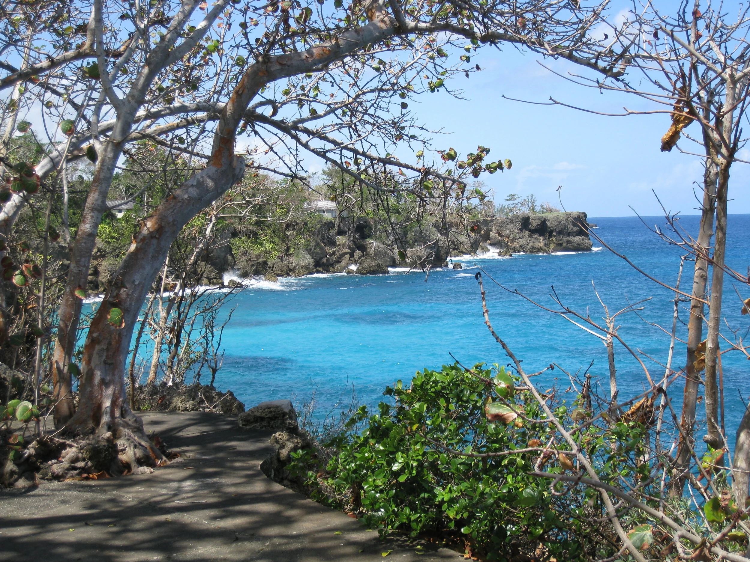  Frenchman's Cove--From the patio of the main house 