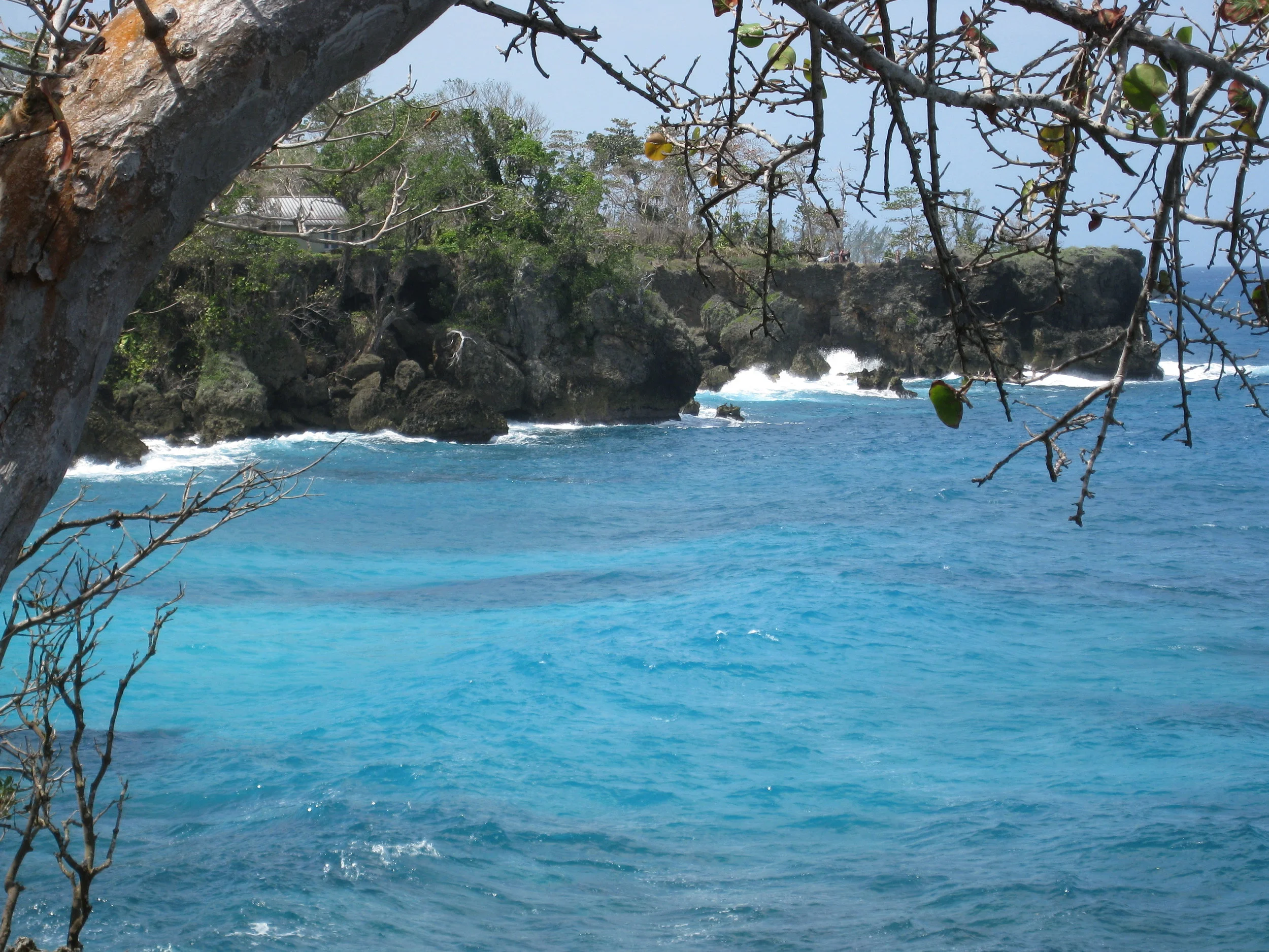  Frenchman's Cove from our house 