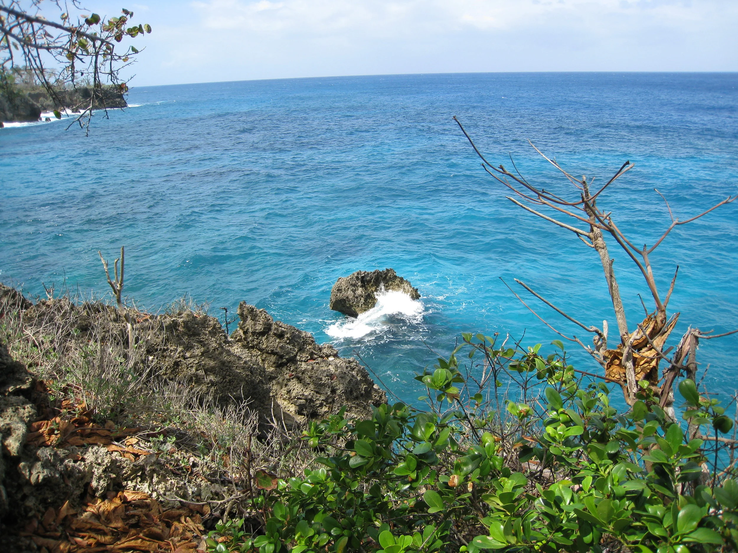 Frenchman's Cove in front of our house 
