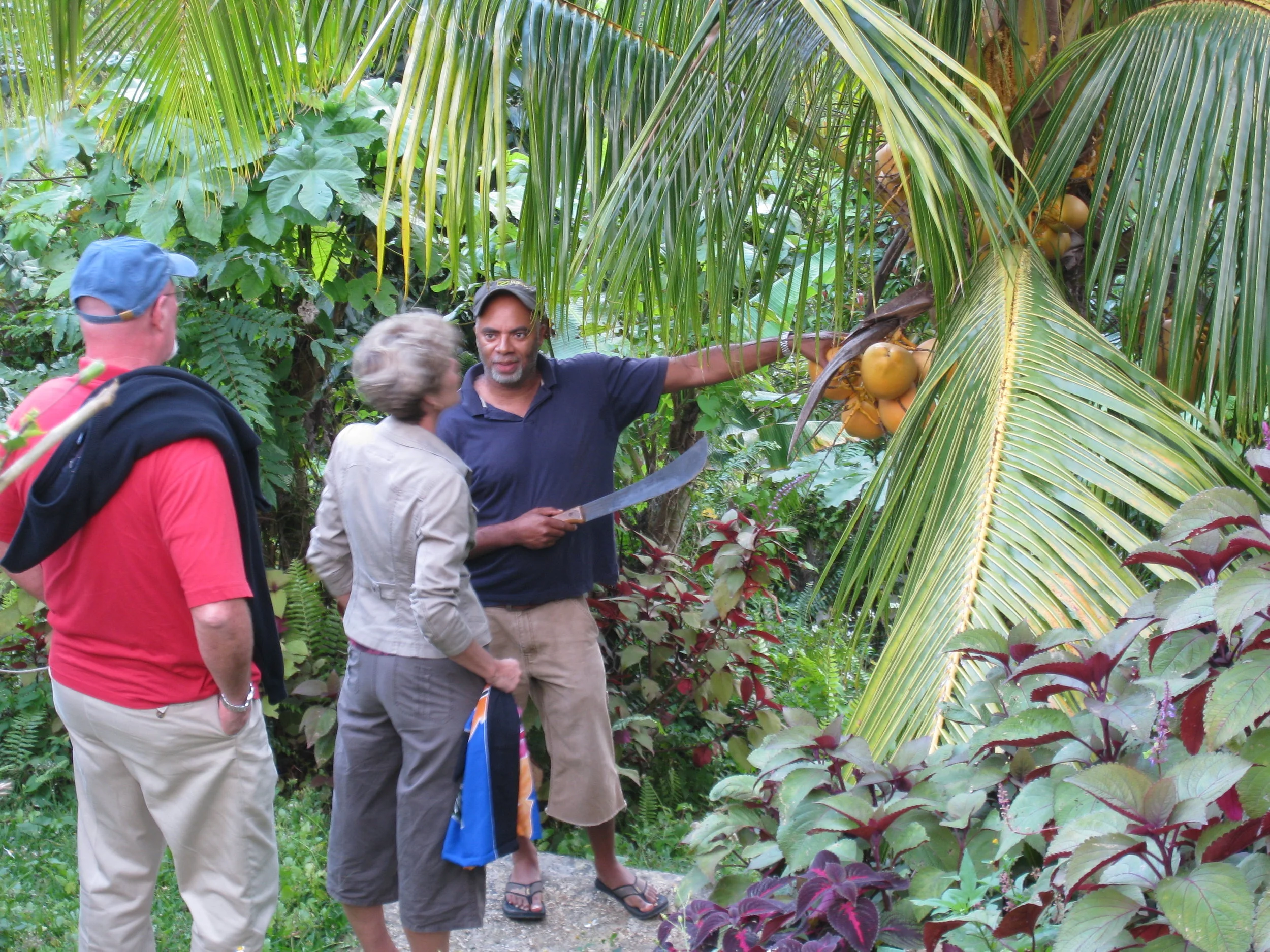  Rick Schreiber, Debbie Schreiber and Cary Lewar testing the coconuts at Cary's house 