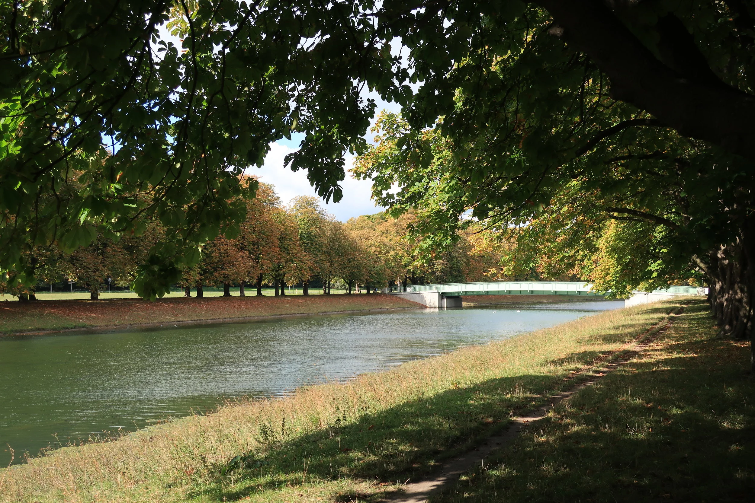  Cologne 2019--Chesnut trees in the Green Belt near Sulz 