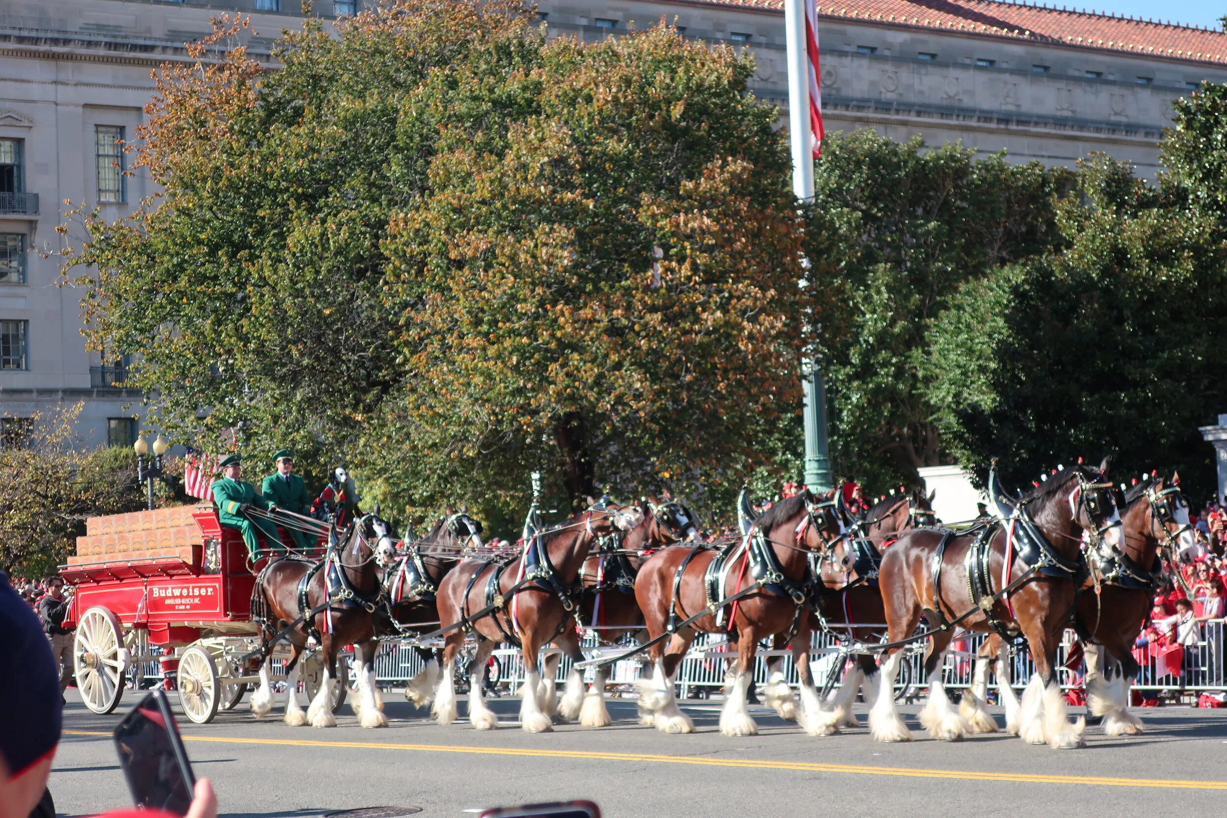  DC 2019--Nats Parade--Bud Clydesdales 