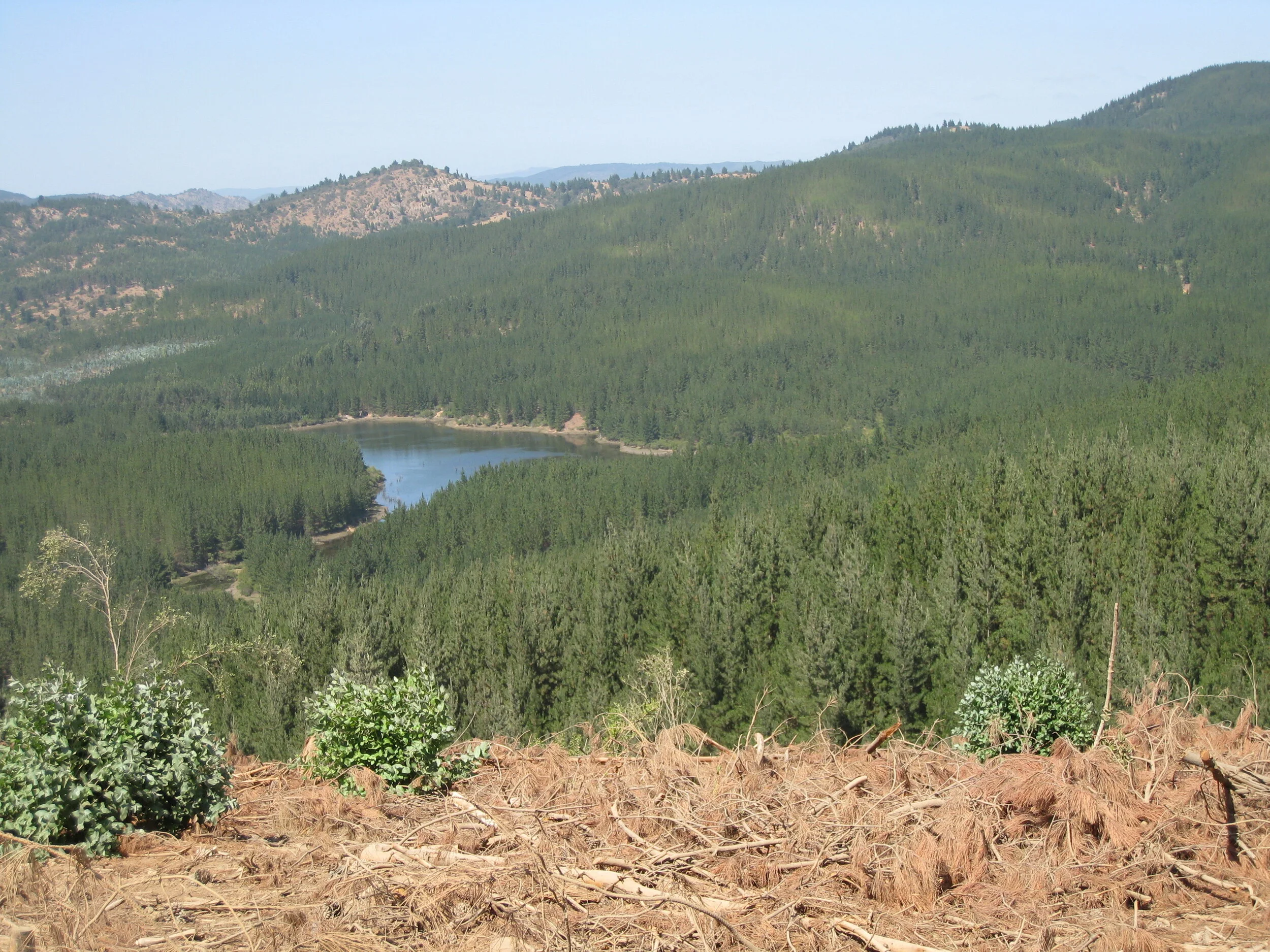  Road to  Llico--Near Vichuquen 