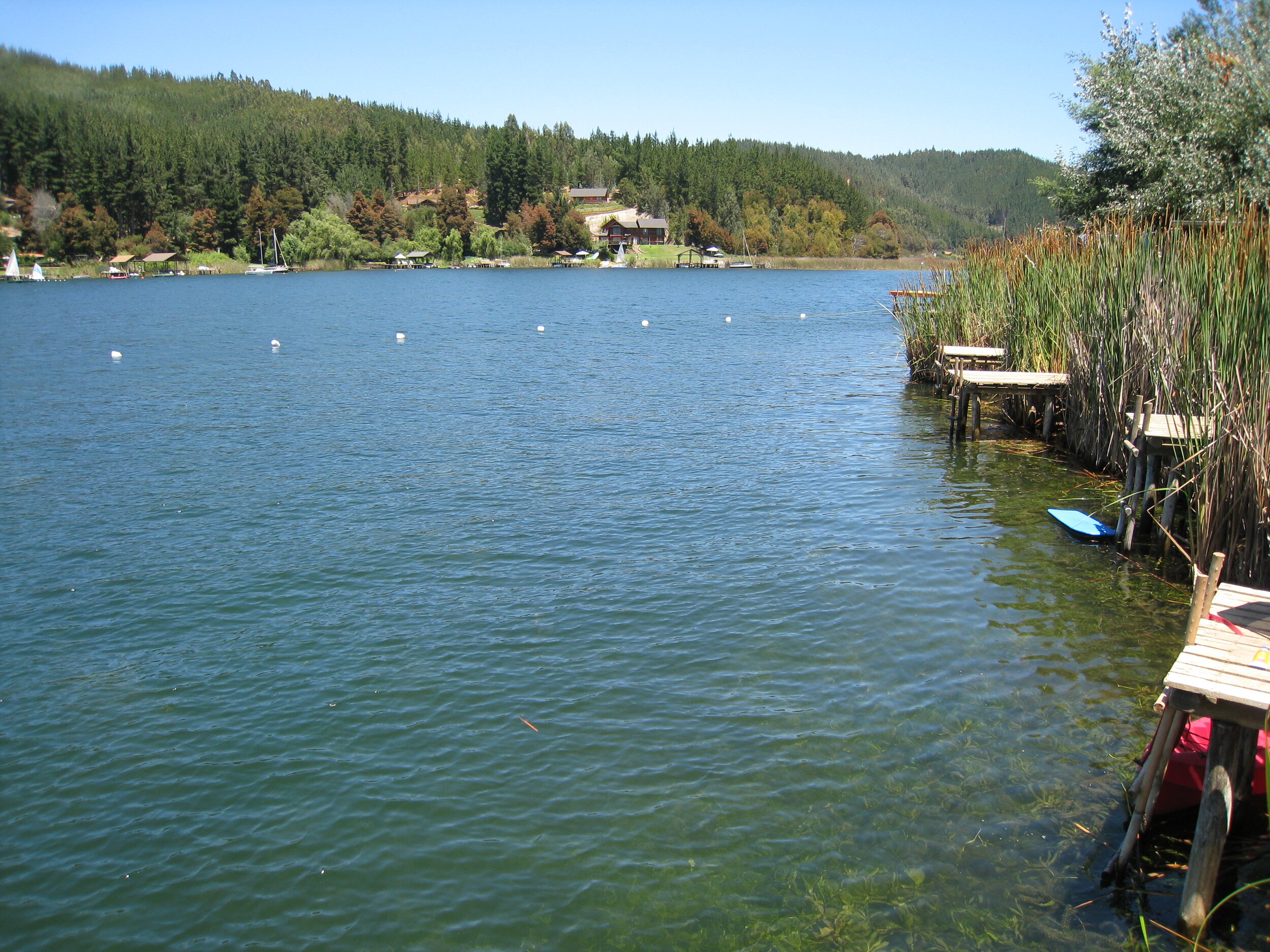  Lago Vichuquen, from Camping Ground 