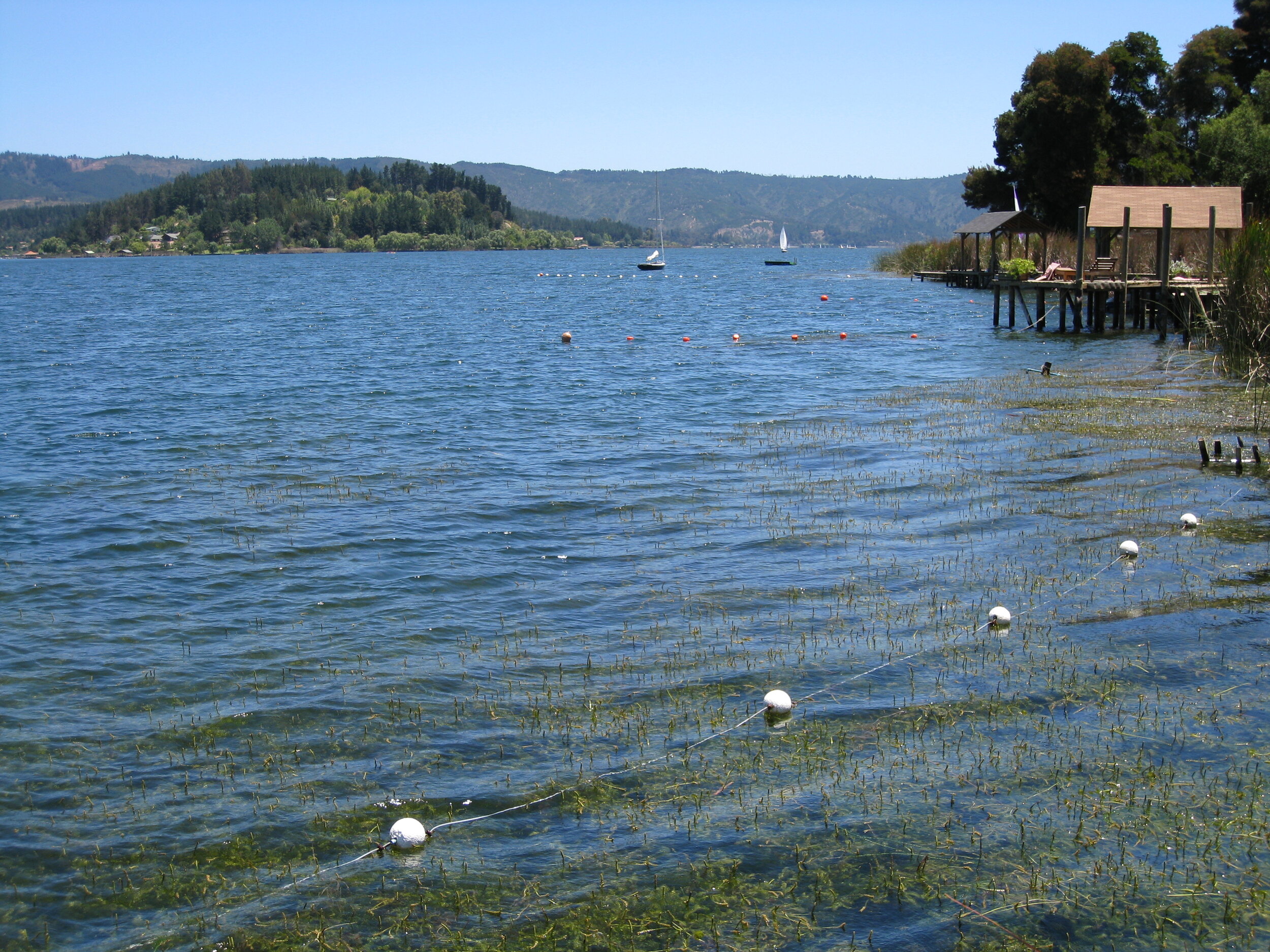 Lago Vichuquen, from Camping Ground 