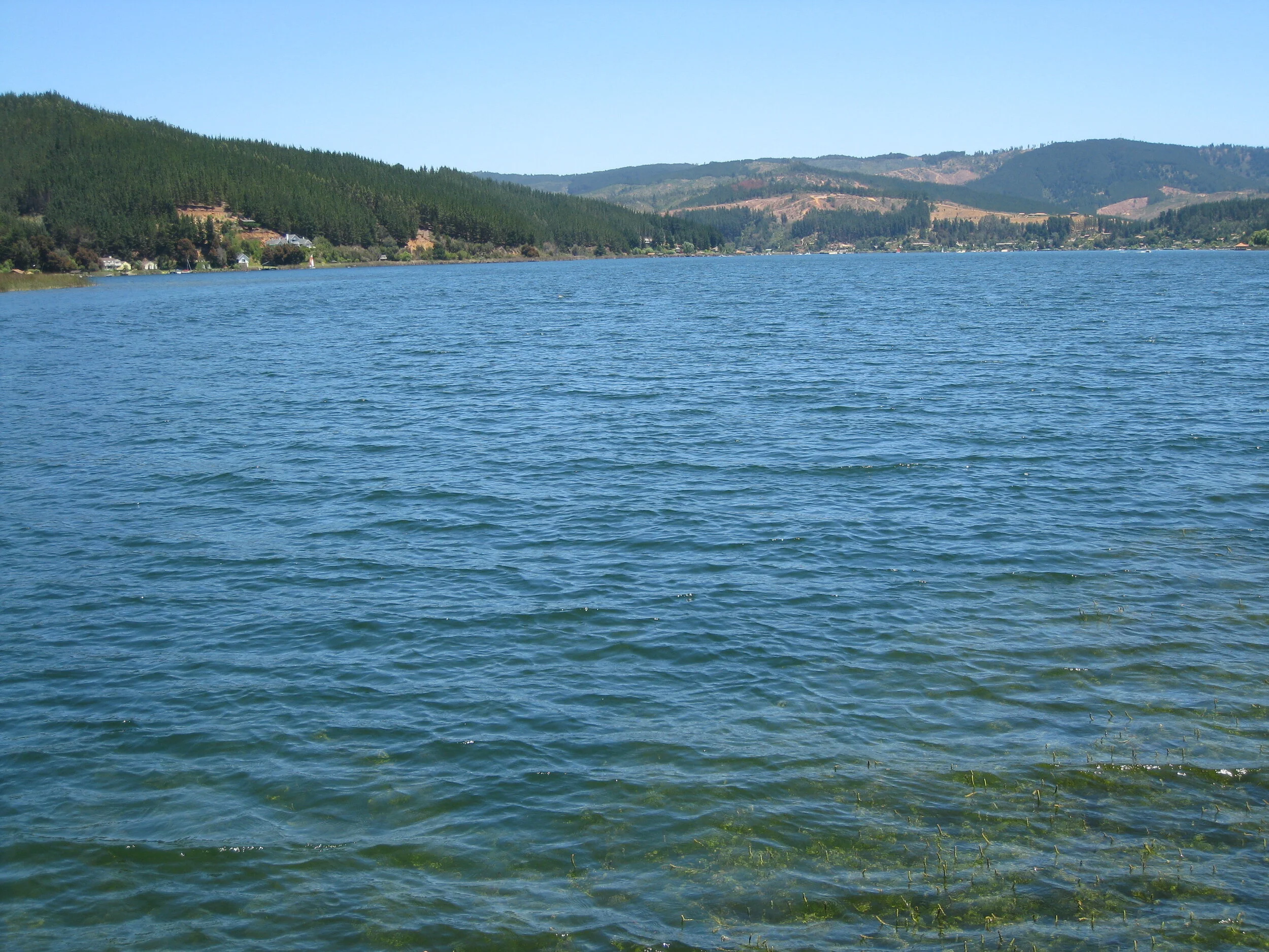  Lago Vichuquen, from Camping Ground 