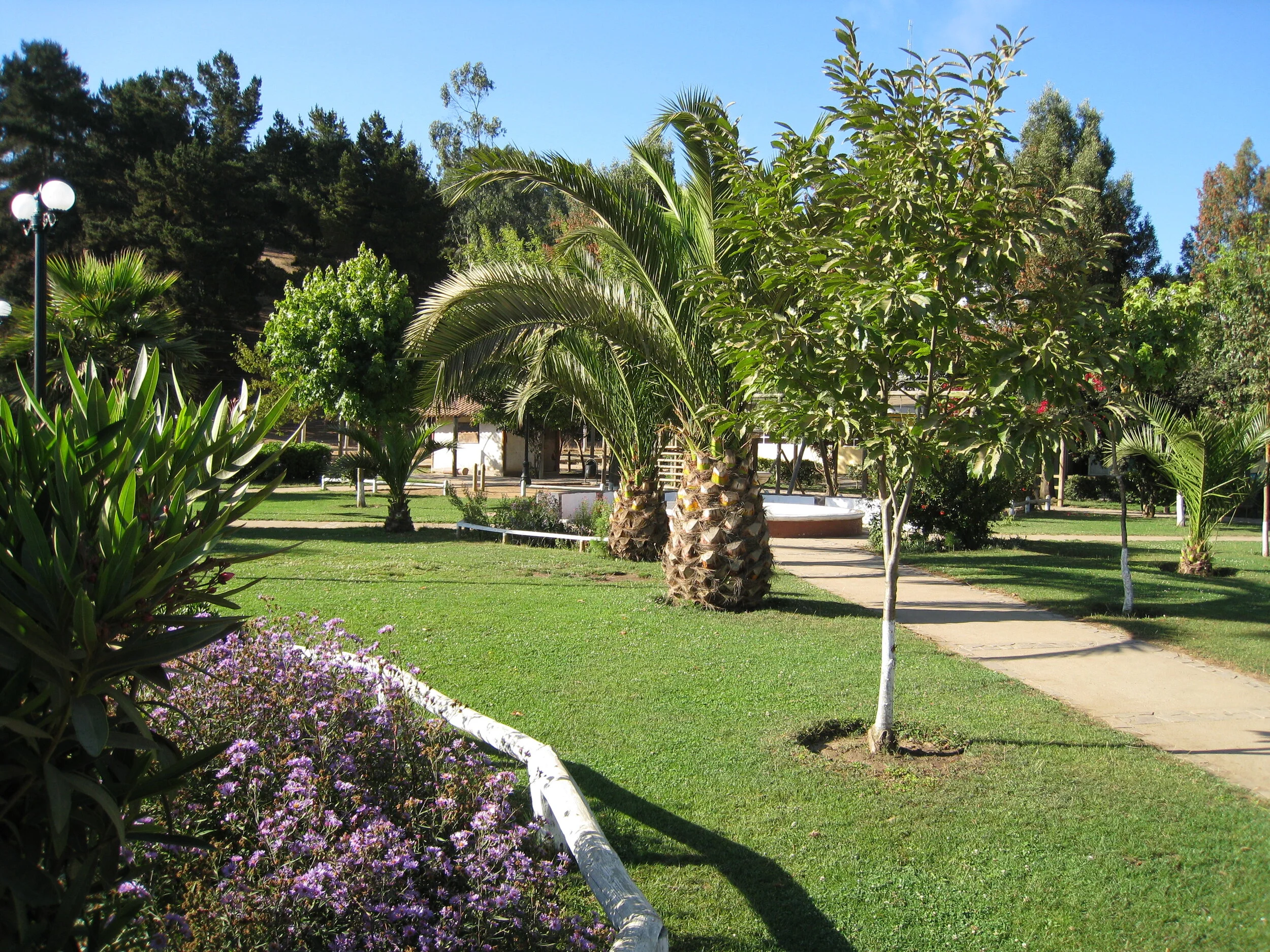  Llico, Plaza 