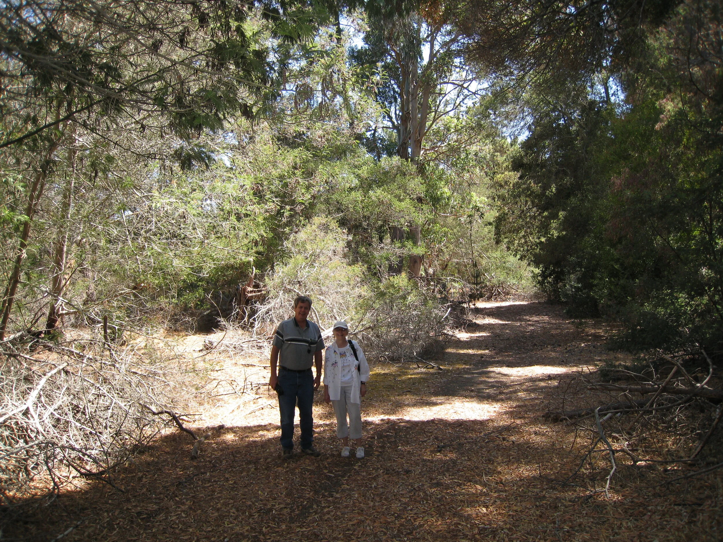  Llico--Dunes--Roger King and Carrol Kindel 