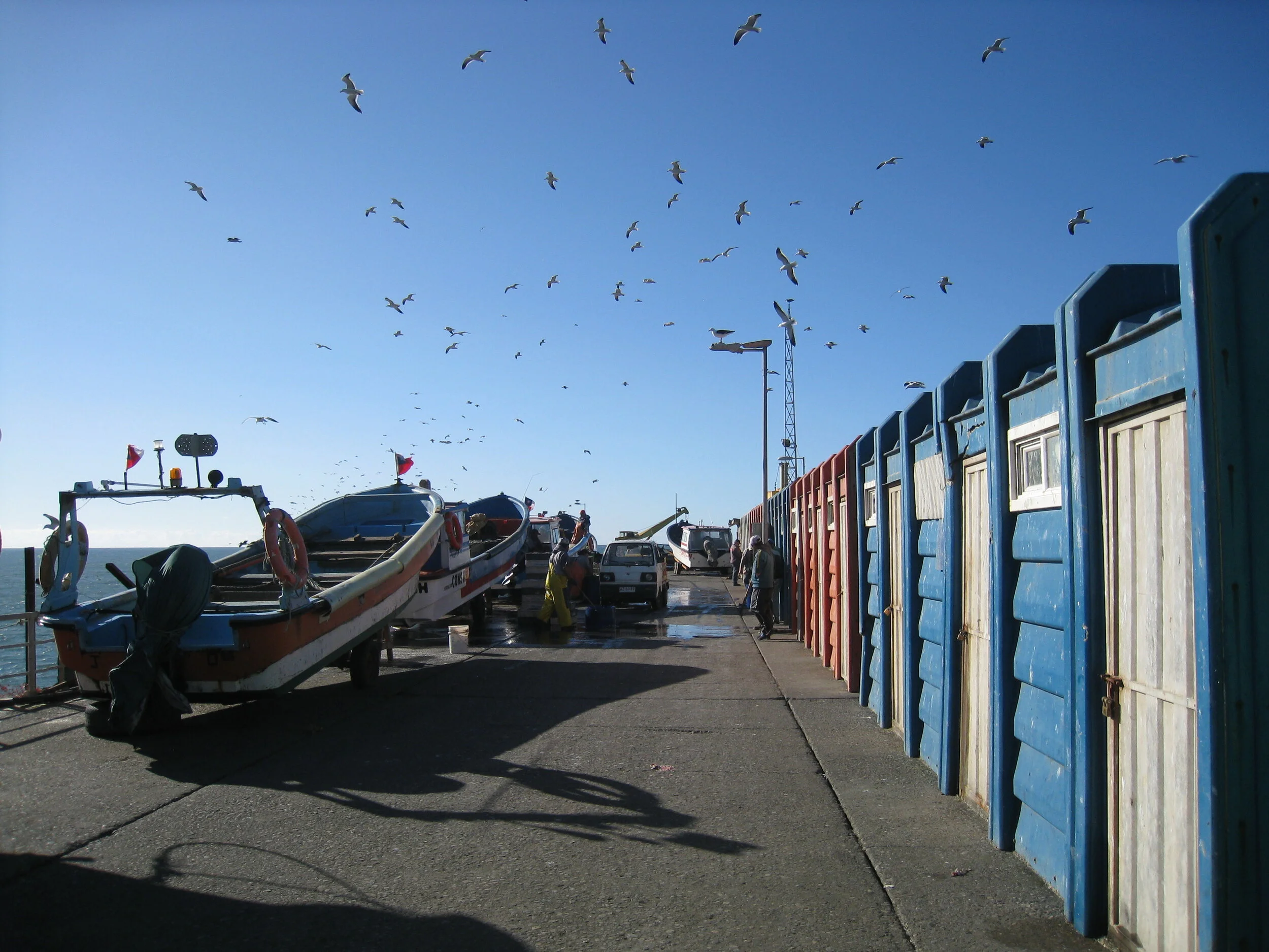  Chile--Constitution--Port  