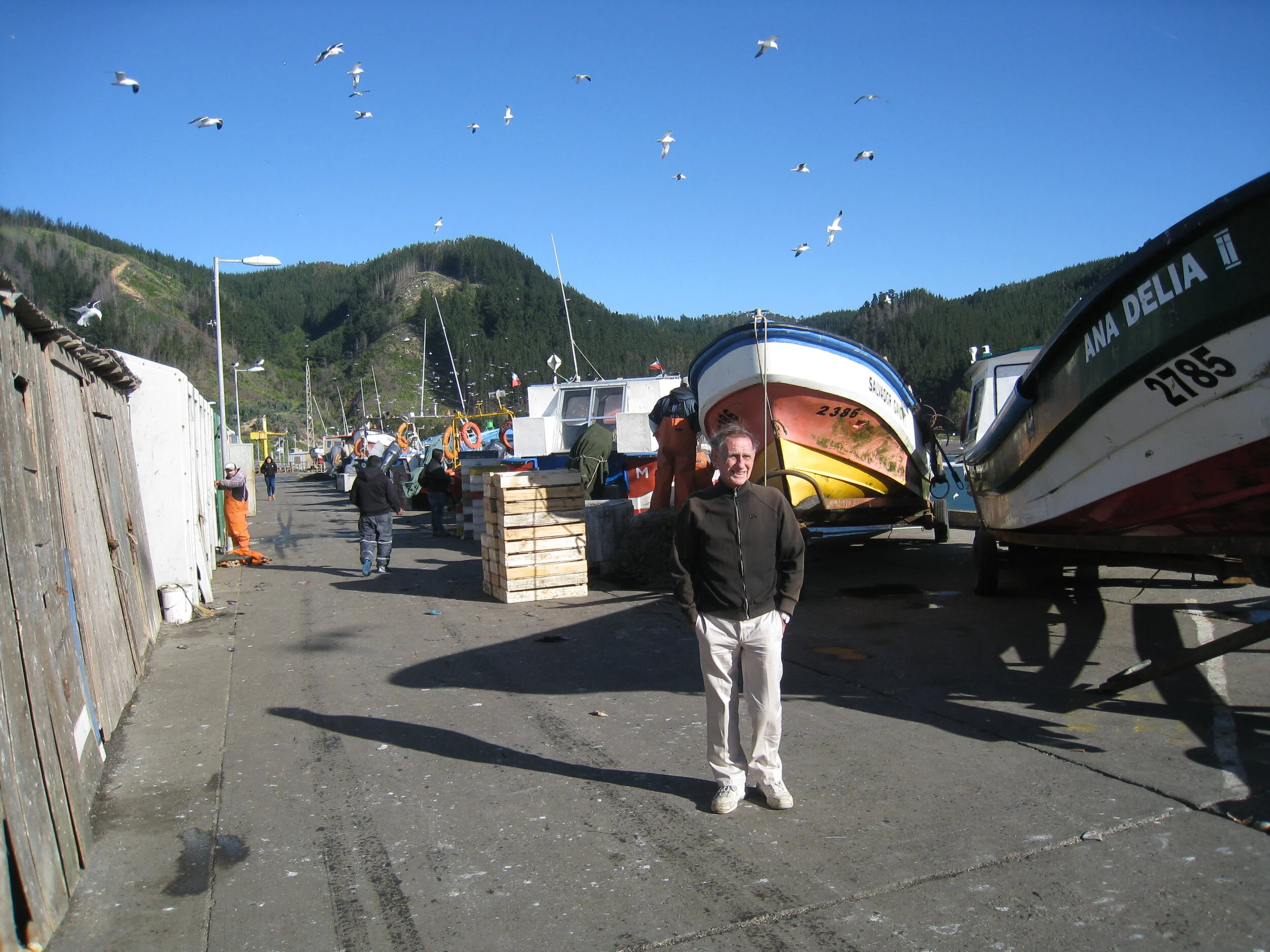  Chile--Constitution--Port--Paul Cullingford 