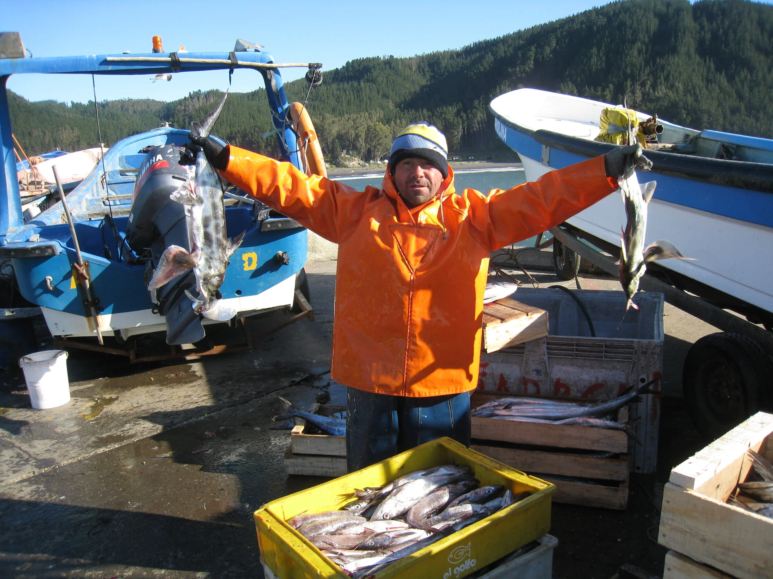  Chile--Constitution--Port--Today's Catch and fisherman 