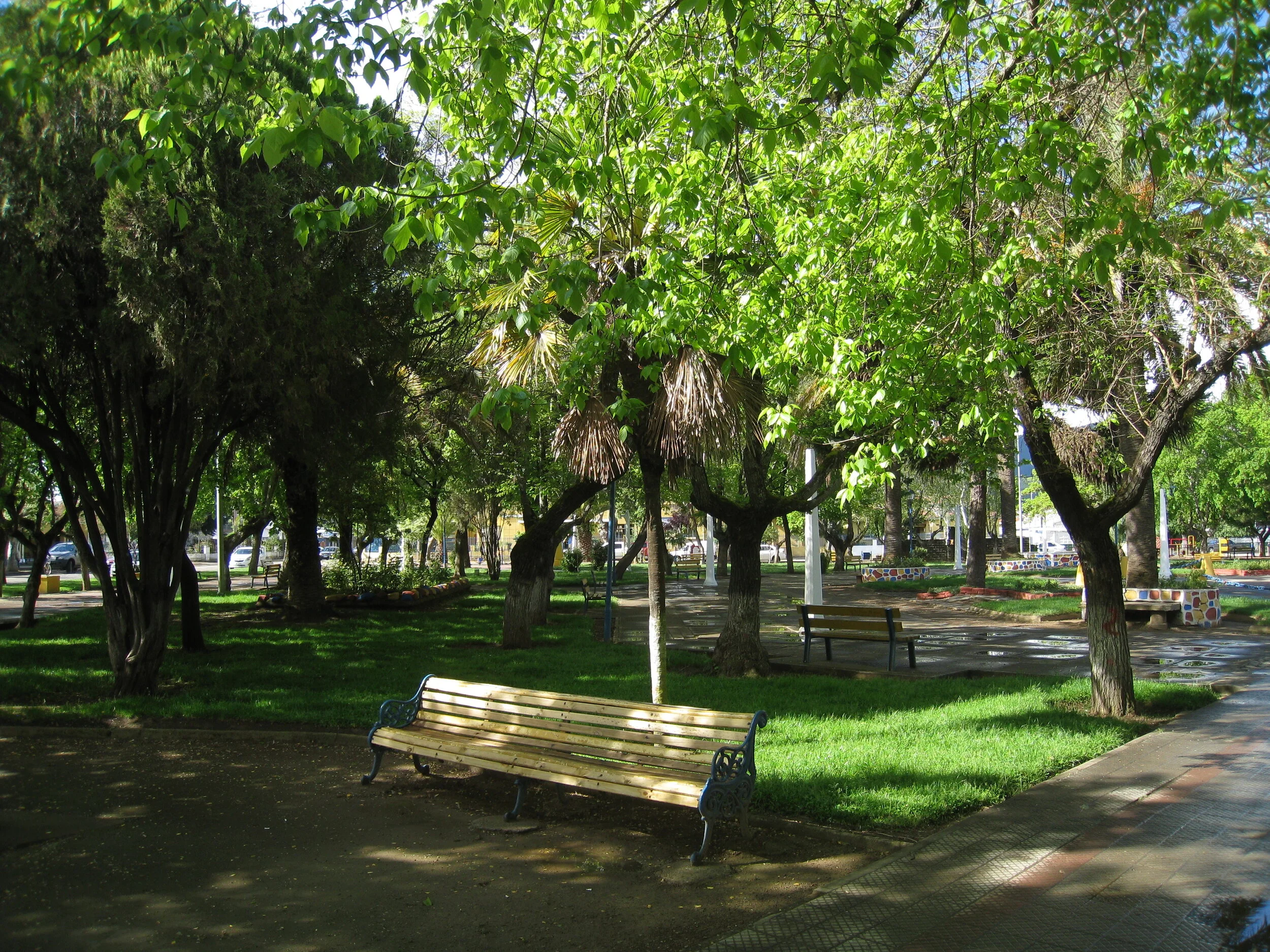  Chile--Quirihue--Plaza 