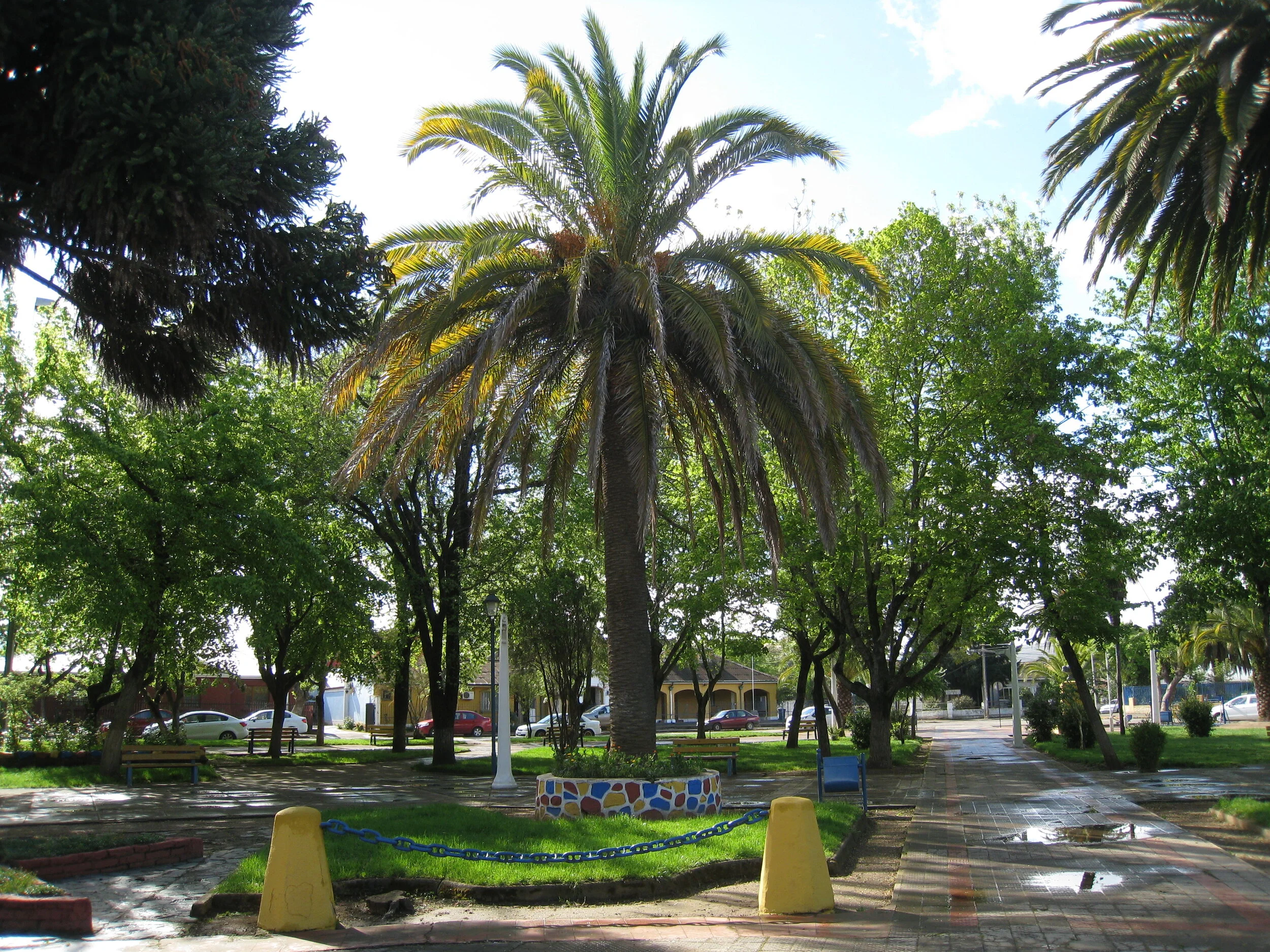  Chile--Quirihue--Plaza 