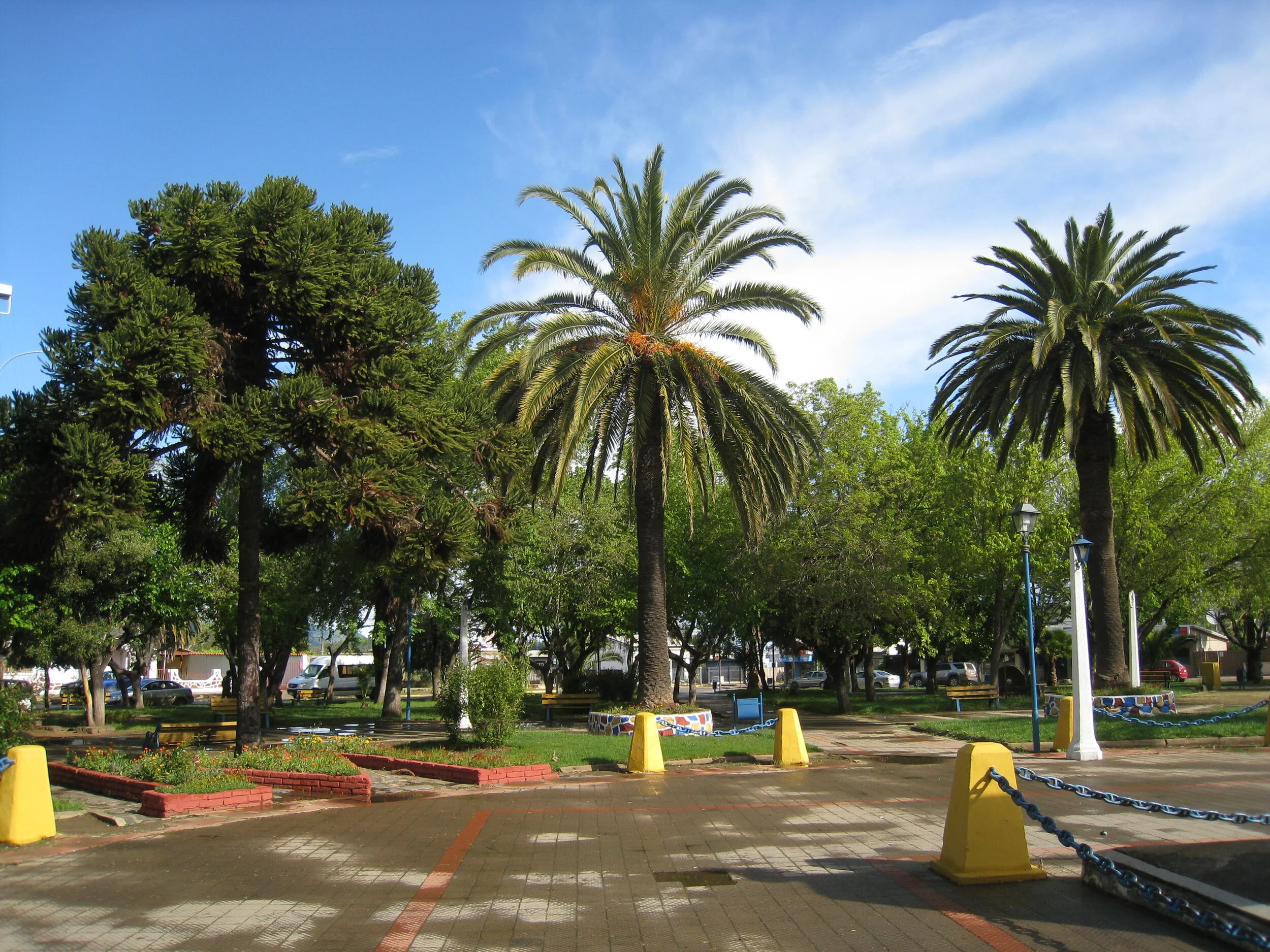  Chile--Quirihue--Plaza 