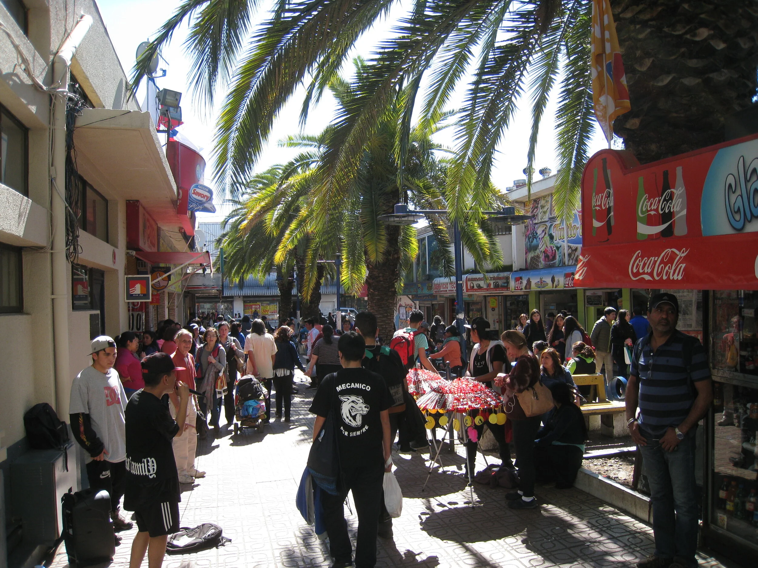  Chile--Chillan Market 
