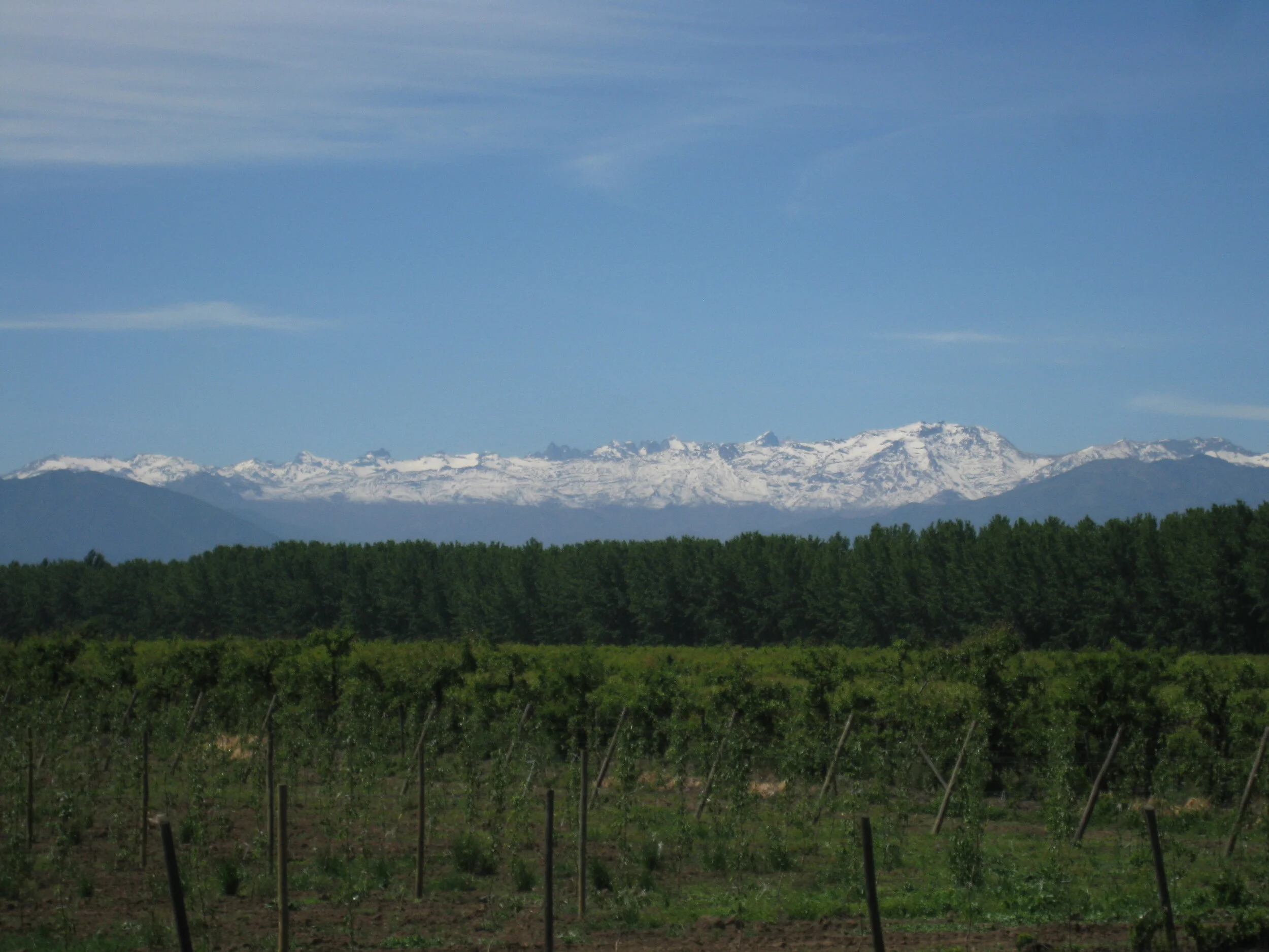  Chile--Curico--Farms and the Andes 